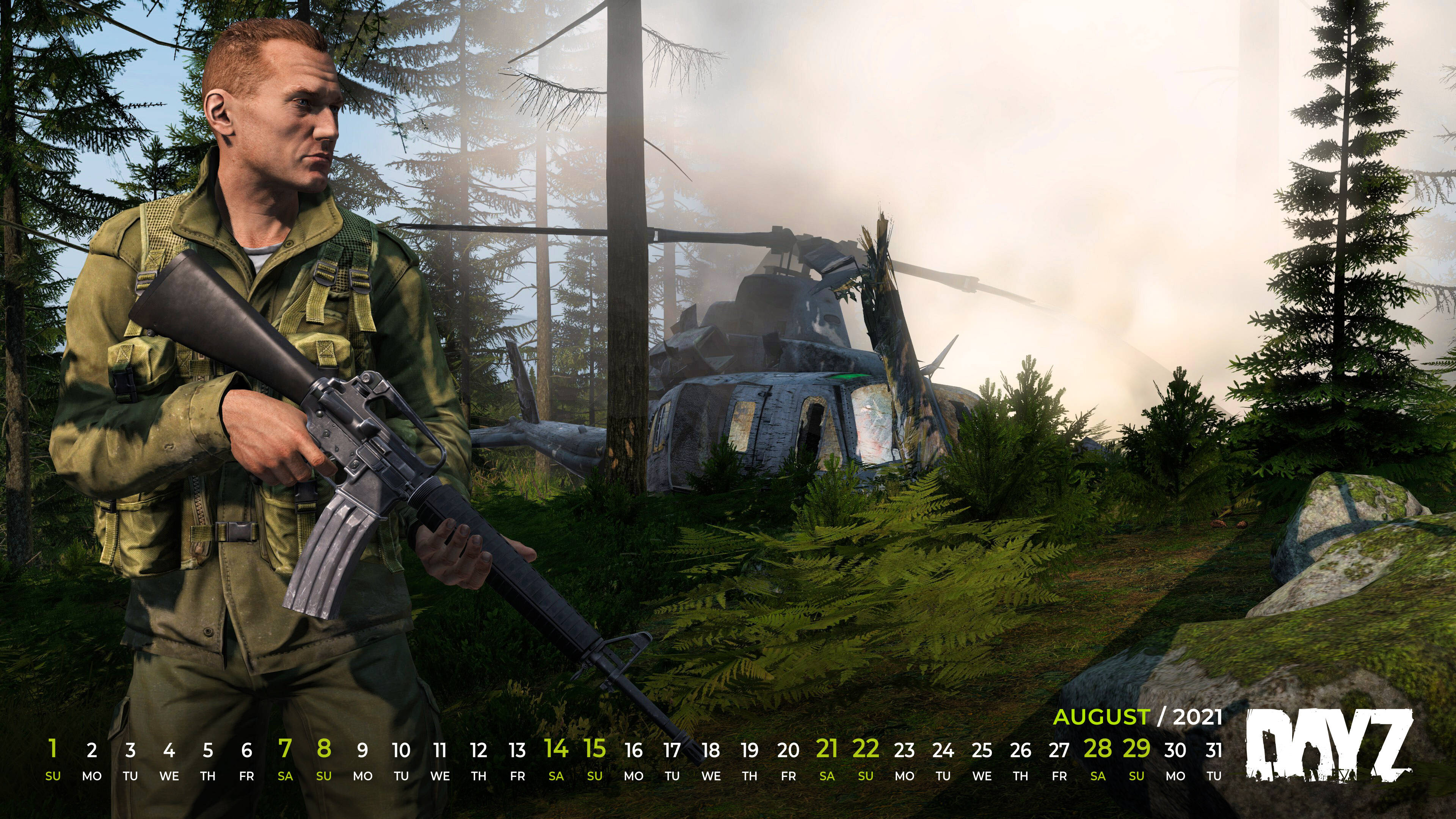 DayZ 桌布 壁紙 — 一名身穿綠色軍服的士兵在霧氣瀰漫的森林中手持突擊步槍，背景有一架損毀的直升機。