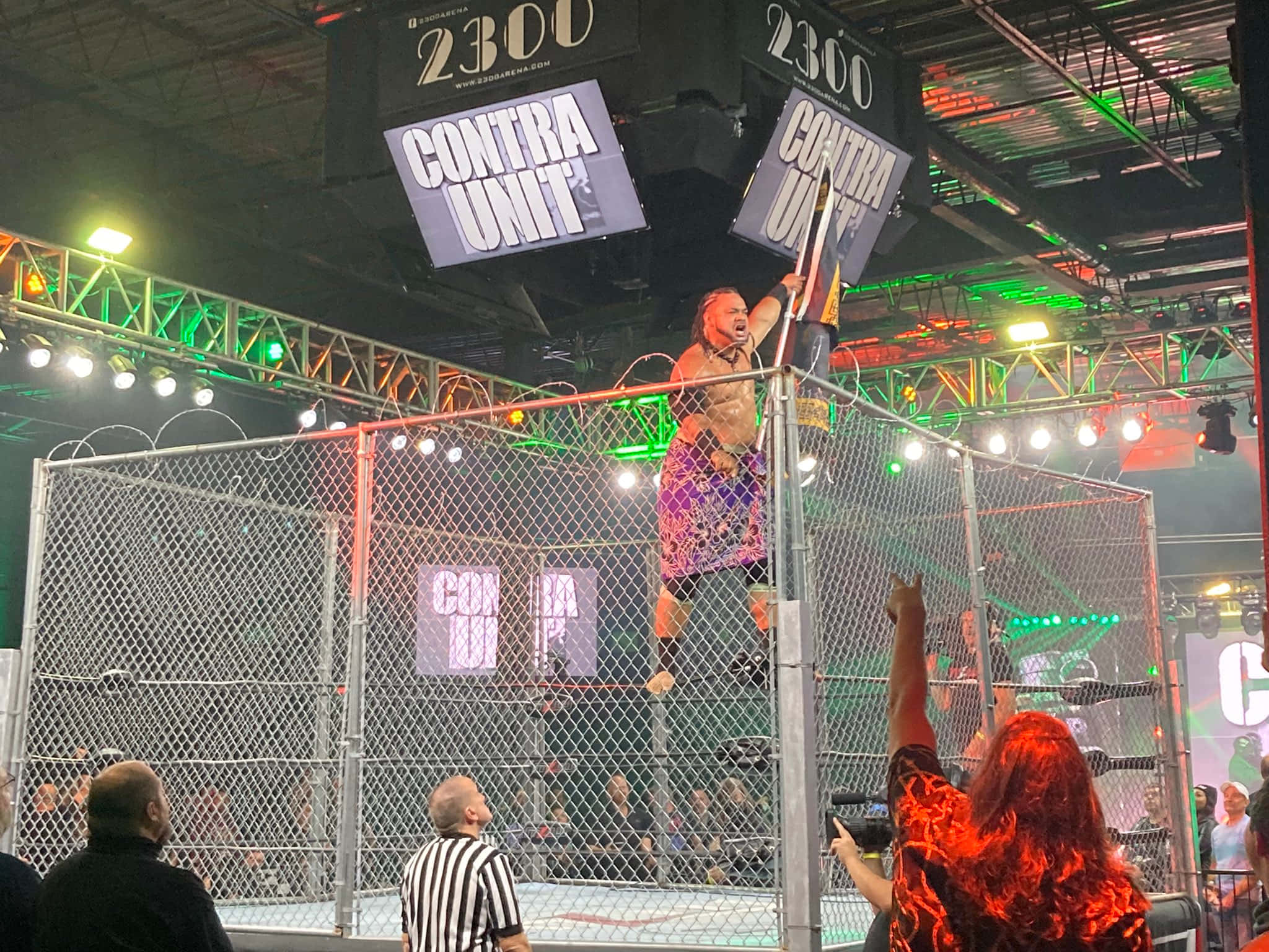 WWE 桌布 壁紙 — 一名身穿色彩繽紛服裝的摔角手站在鋼籠頂部，舉著標語牌，粉絲們在明亮的場館燈光下歡呼。