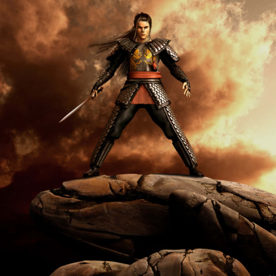Warrior 桌布 壁紙 — 一名身穿華麗盔甲的戰士站在岩石露頭上，背景是火紅的日落天空。