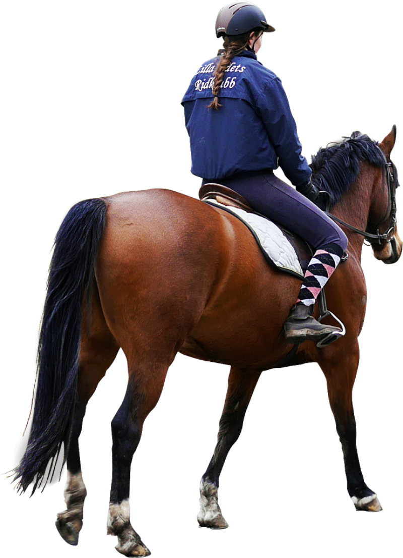 Horse Riding 桌布 壁紙 — 一名身穿藍色外套和頭盔的騎士，騎著一匹深色鬃毛和尾巴的栗色馬，背景為黑色。