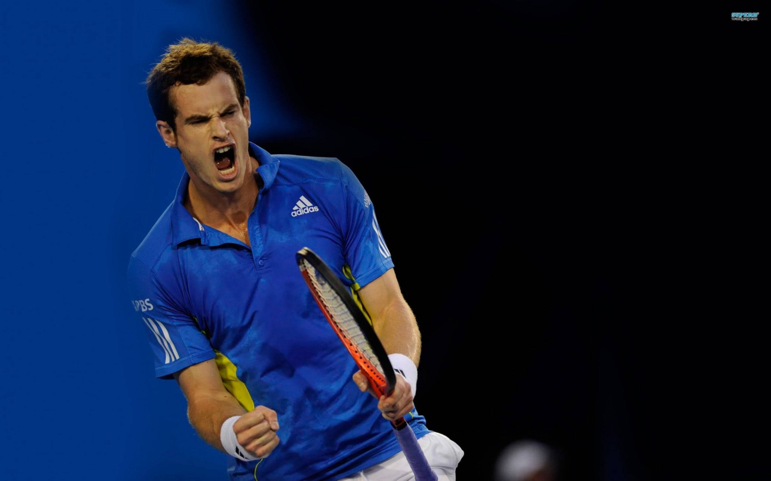 Andy Murray 桌布 壁紙 — 一名身穿藍色愛迪達襯衫的男性網球選手，在深藍色背景下緊握球拍，發出強烈的吼叫。