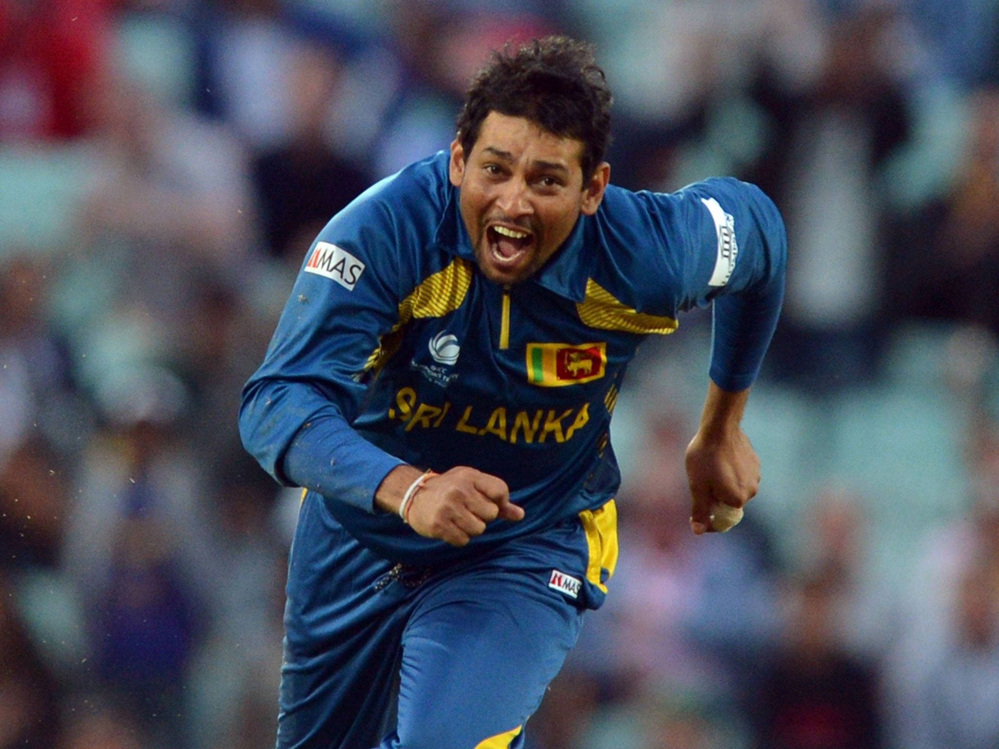 Sri Lanka Cricket 桌布 壁紙 — 一名身穿藍色球衣的斯里蘭卡板球運動員在夜間比賽中握緊拳頭，狂喜慶祝。