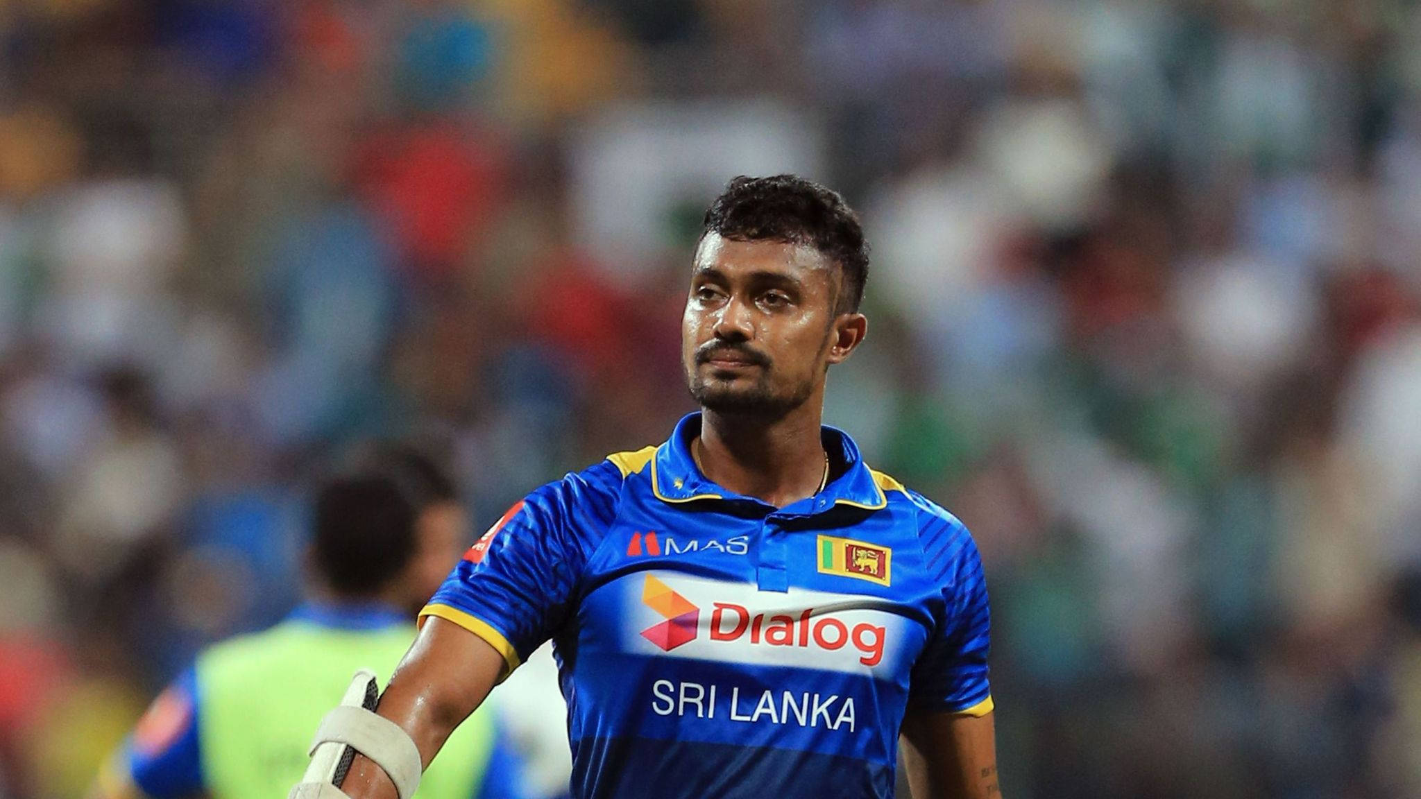 Sri Lanka Cricket 桌布 壁紙 — 一名身穿藍色球衣的斯里蘭卡板球運動員專注地站在球場上，背景是模糊的體育場人群。