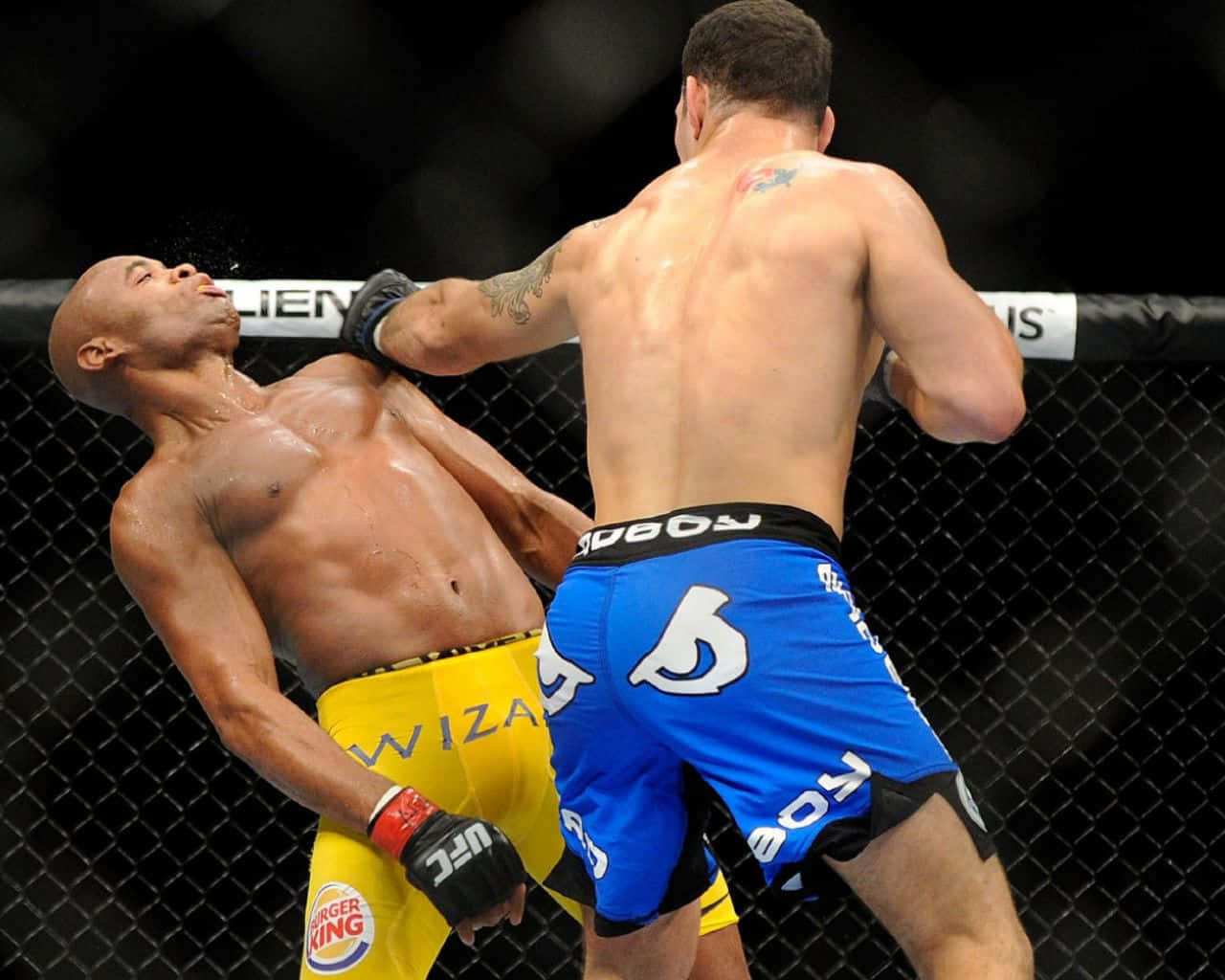 MMA 桌布 壁紙 — 一名身穿藍色短褲的拳手在UFC八角籠內以強力肘擊擊中對手的臉部。