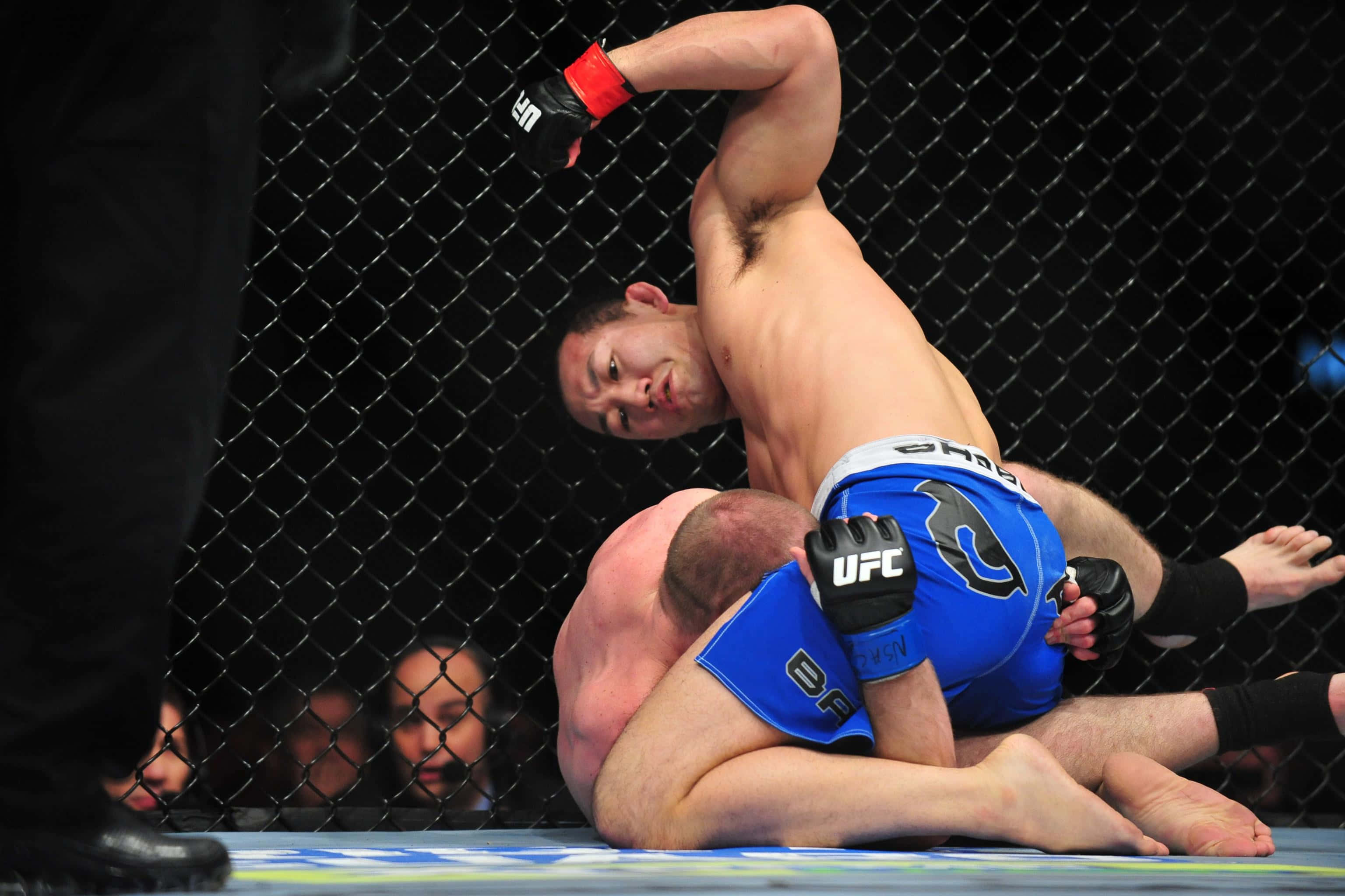 UFC 桌布 壁紙 — 一名身穿藍色短褲的拳手在UFC八角籠內對對手施展降服技。
