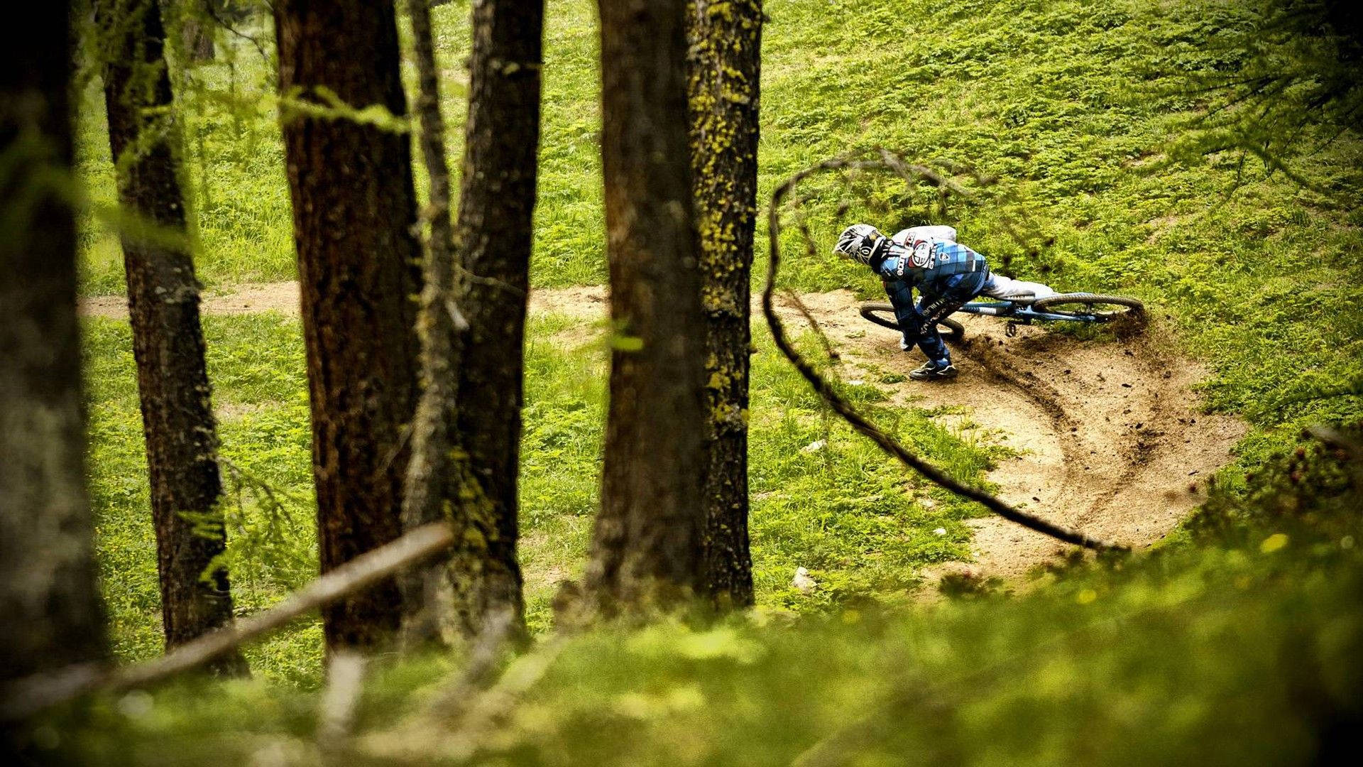 Mountain Bike 桌布 壁紙 — 一名身穿藍色裝備的山地自行車手在陽光普照、樹木長滿苔蘚的森林中的泥土小徑上傾身過急彎。
