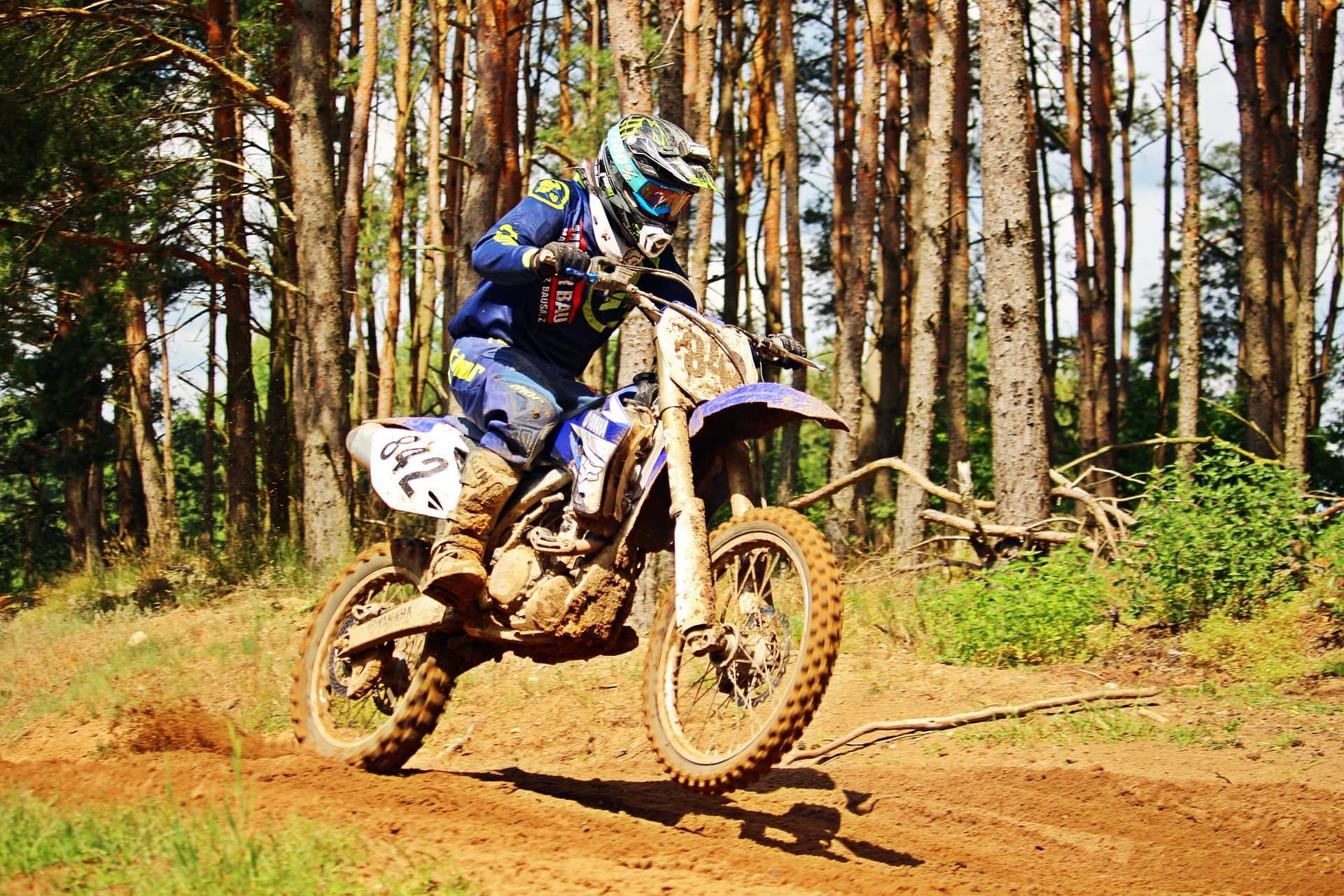 Dirtbike 桌布 壁紙 — 一名身穿藍色裝備的越野摩托車手在泥濘的森林小徑上傾斜入彎，周圍是高聳的松樹。