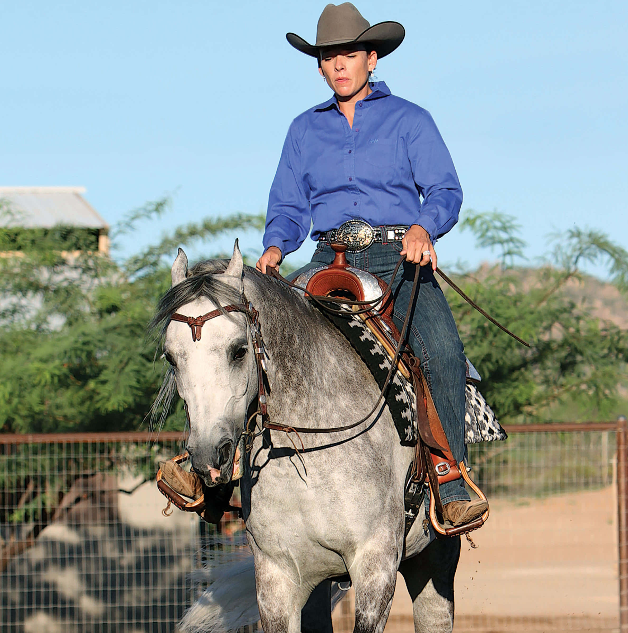 Arabian Horse 桌布 壁紙 — 一名身穿藍色襯衫和牛仔帽的騎手，在晴朗藍天下，騎著一匹灰色斑點馬，位於有圍欄的戶外競技場。