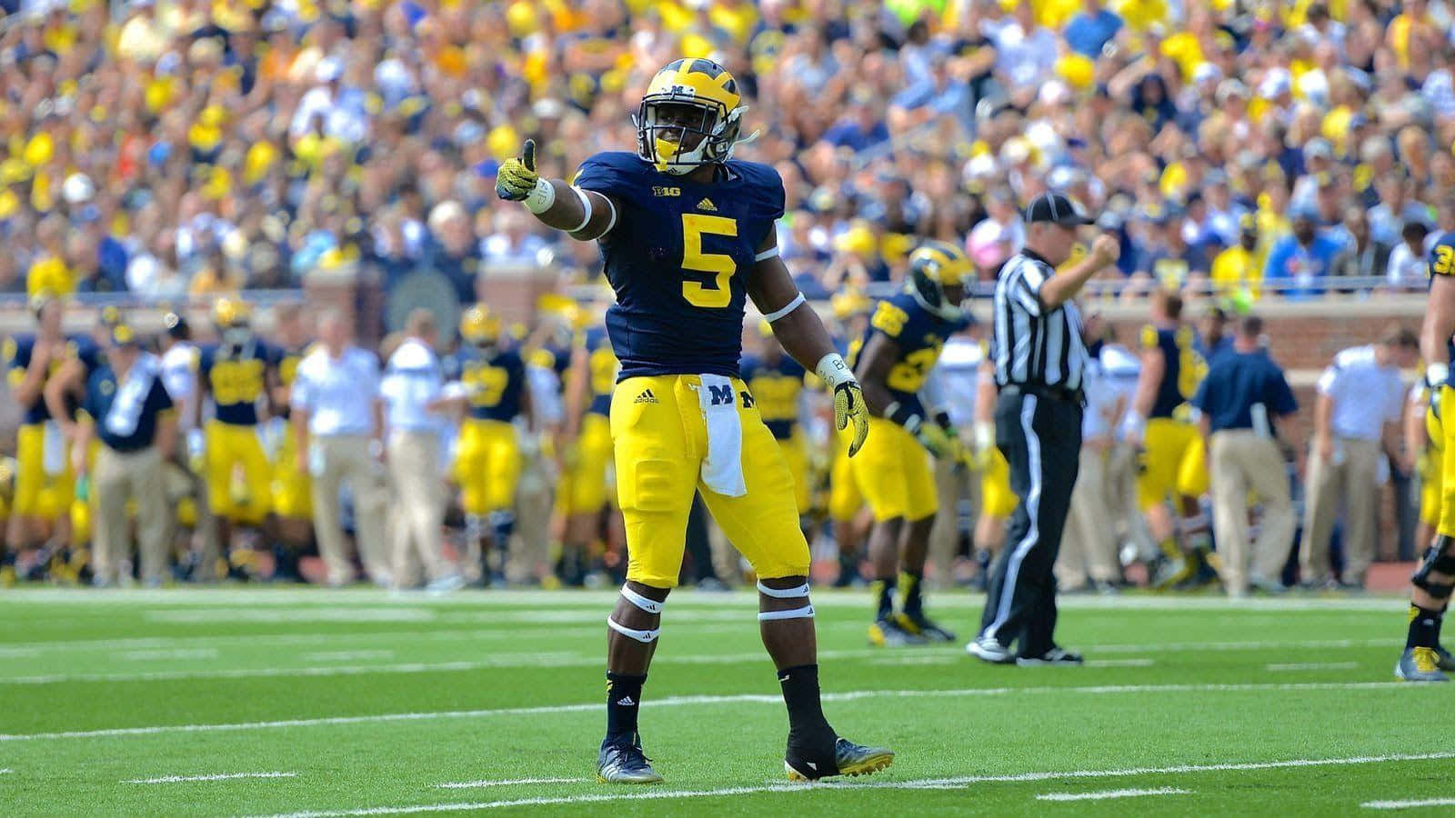 Michigan Football 桌布 壁紙 — 一名身穿藍黃色球衣的足球運動員在陽光明媚的球場上豎起大拇指，背景是歡呼的球迷。