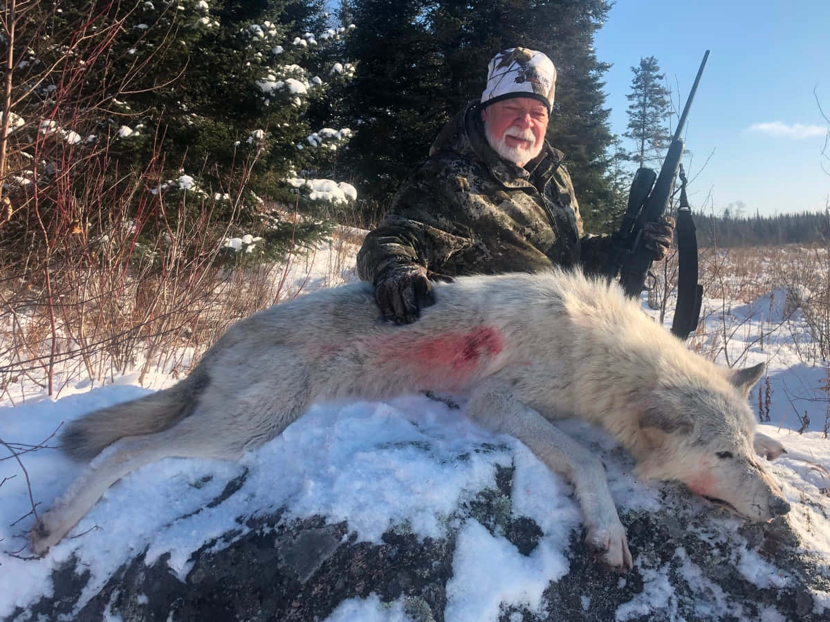 Hunting Wolves 桌布 壁紙 — 一名身穿迷彩服的獵人坐在雪地上，旁邊是一隻被殺死的白狼，背景有常綠樹。