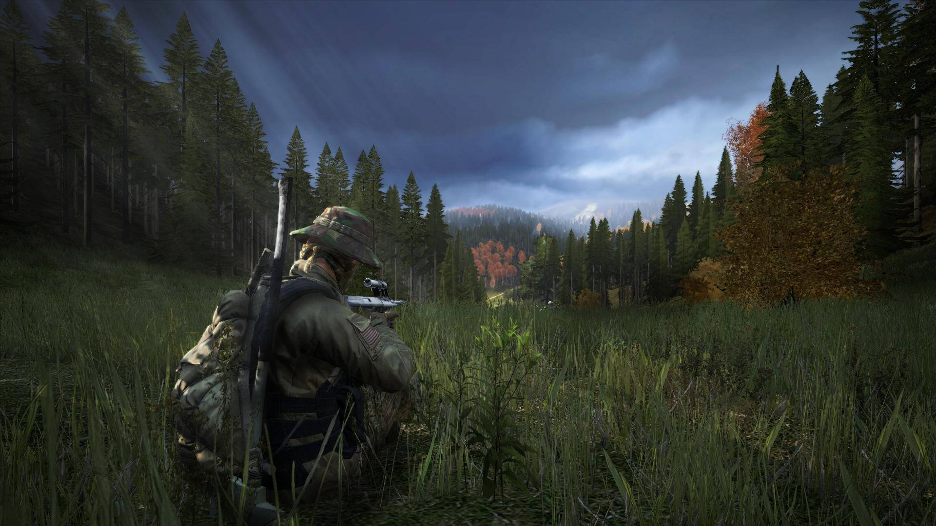 DayZ 桌布 壁紙 — 一名身穿迷彩服的獵人蹲在高高的草叢中，在暴風雨的秋天下瞄準遠處的森林。
