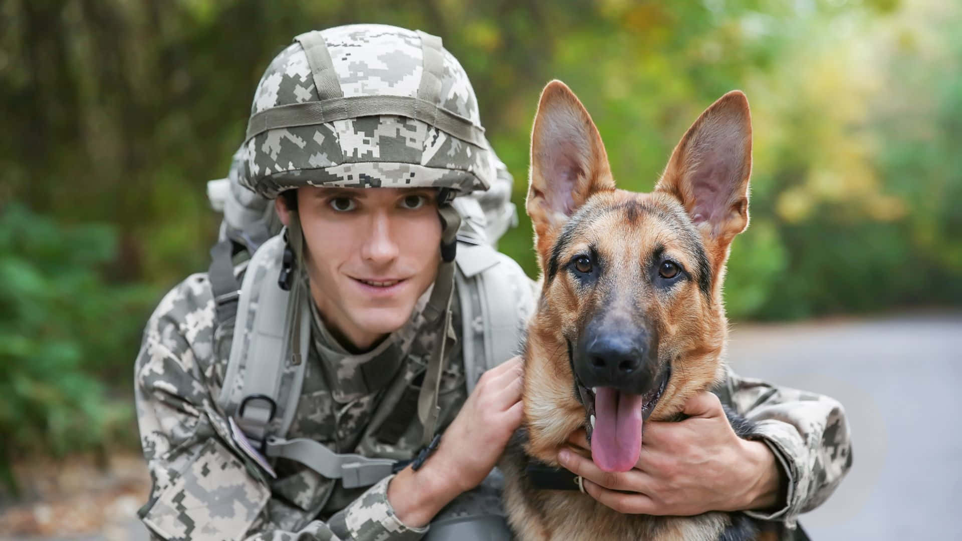 軍事動圖 桌布 壁紙 — 一名身穿迷彩裝備的士兵在森林地區柔和自然光線下，輕輕抱著一隻喘氣的德國牧羊犬。