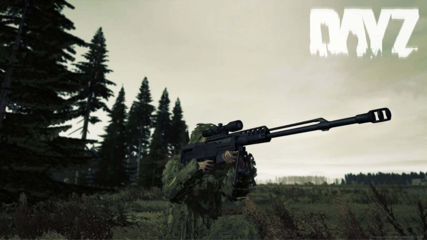 1366x768 Dayz 桌布 壁紙 — 一名身穿迷彩裝備的士兵在茂密的松林中，透過高草叢瞄準狙擊步槍，天空多雲。