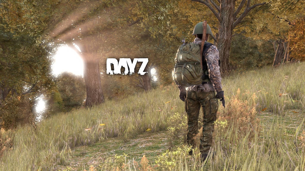DayZ 桌布 壁紙 — 一名身穿迷彩裝備的士兵在陽光明媚的森林中穿過高草，背景中「DAYZ」字樣發光。