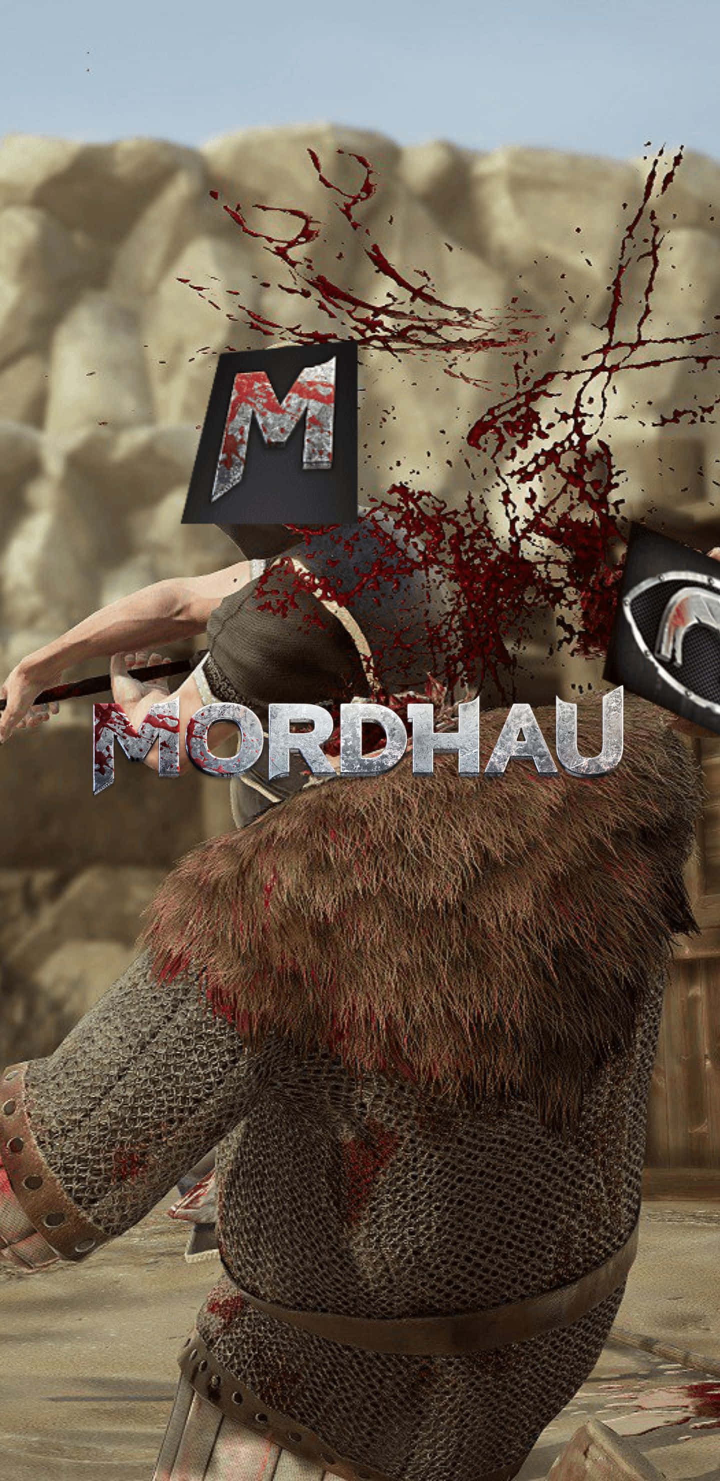 Pixel 3xl Mordhau 桌布 壁紙 — 一名身穿鎖子甲和毛皮邊飾盔甲的戰士被武器擊中，鮮血濺在岩石沙漠背景上。