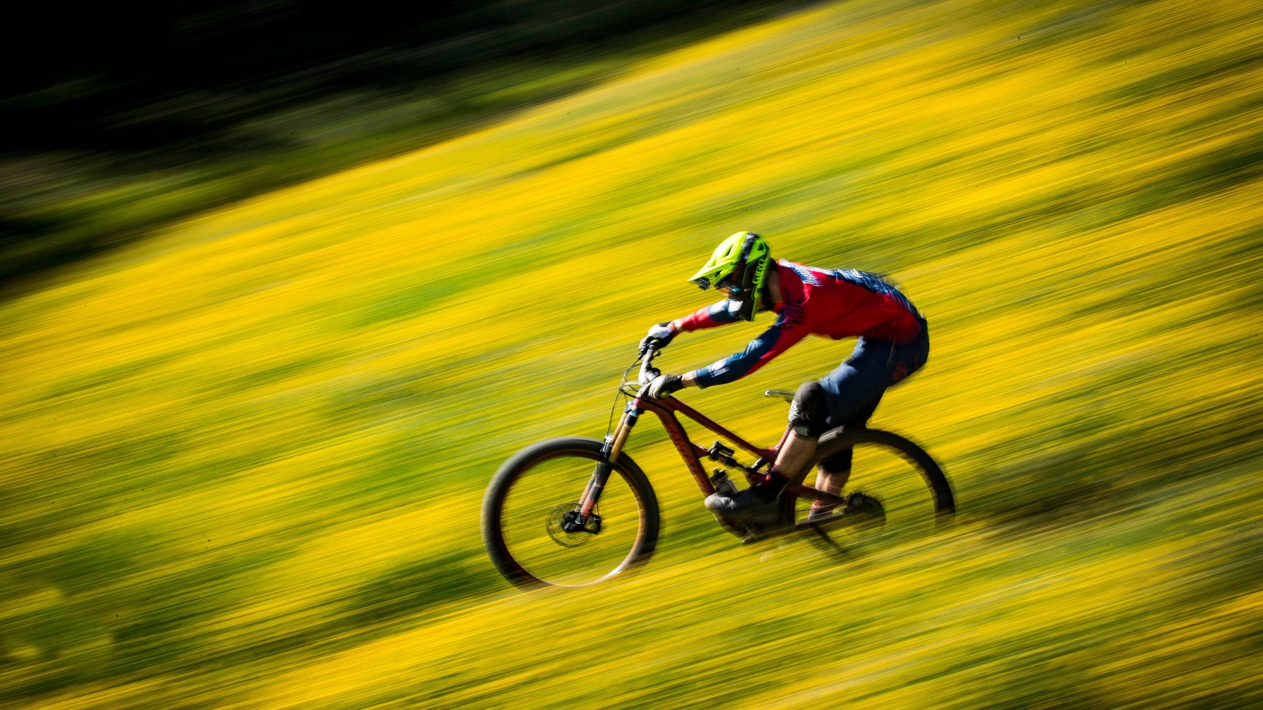 bike riding 桌布 壁紙 — 一名身穿鮮亮裝備的山地自行車手，在充滿活力的黃色田野中高速下坡，動態模糊強調了速度。