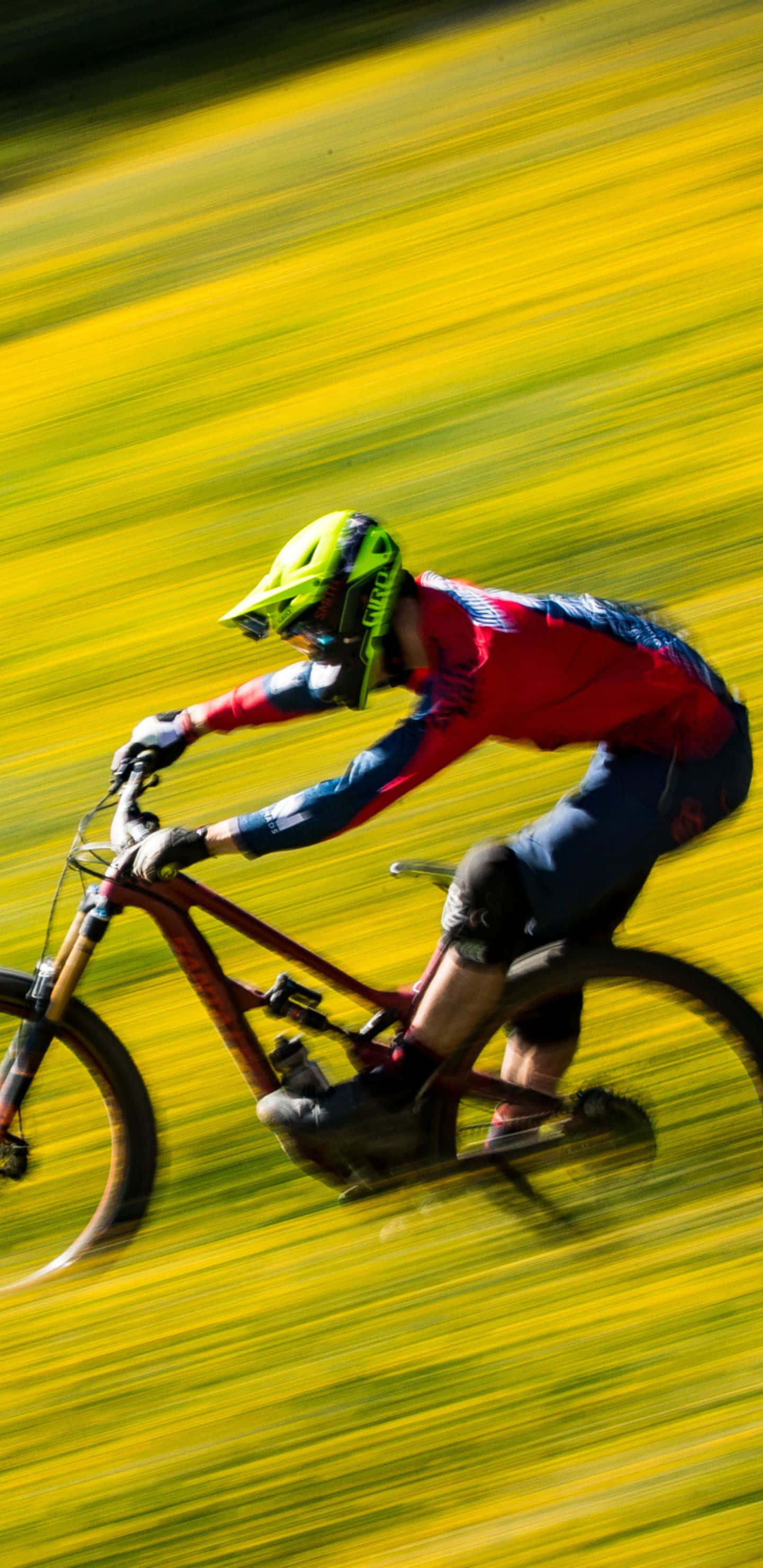 Pixel 3xl Bikes 桌布 壁紙 — 一名身穿鮮豔裝備的山地車手，穿過一片模糊的金黃色野花，飛馳下山。