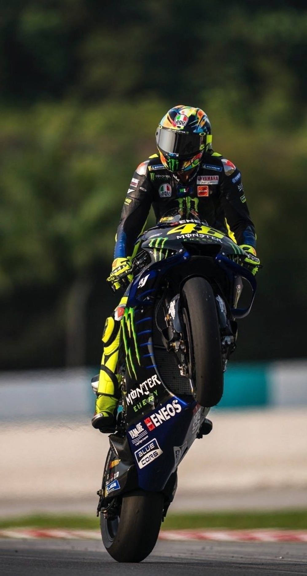 Monster Energy 桌布 壁紙 — 一名身穿鮮豔裝備的摩托車賽車手在賽道上傾斜入彎，背景是模糊的綠色植物。