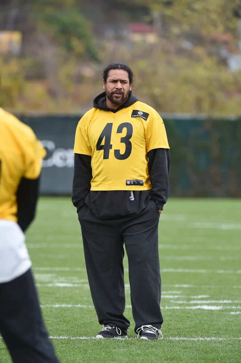 Troy Polamalu 桌布 壁紙 — 一名身穿黃色球衣、號碼43的美式足球員站在綠色球場上，雙手插袋，表情嚴肅。