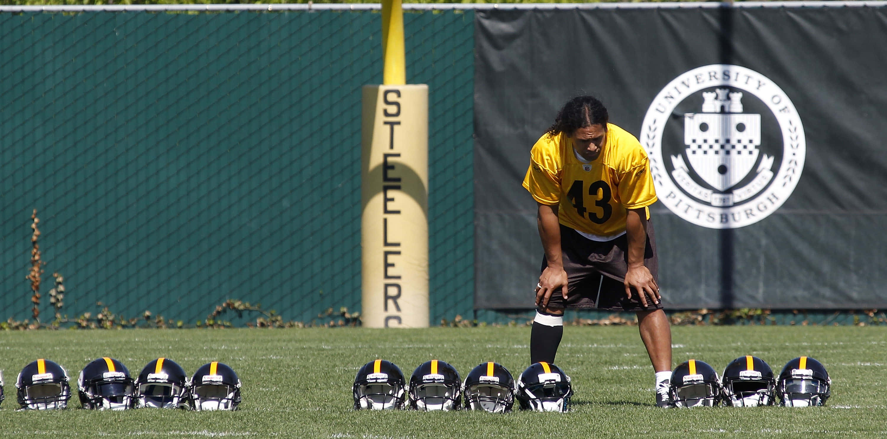 Troy Polamalu 桌布 壁紙 — 一名身穿黃色球衣43號的匹茲堡鋼人隊美式足球員在草地上彎腰，周圍排列著頭盔。