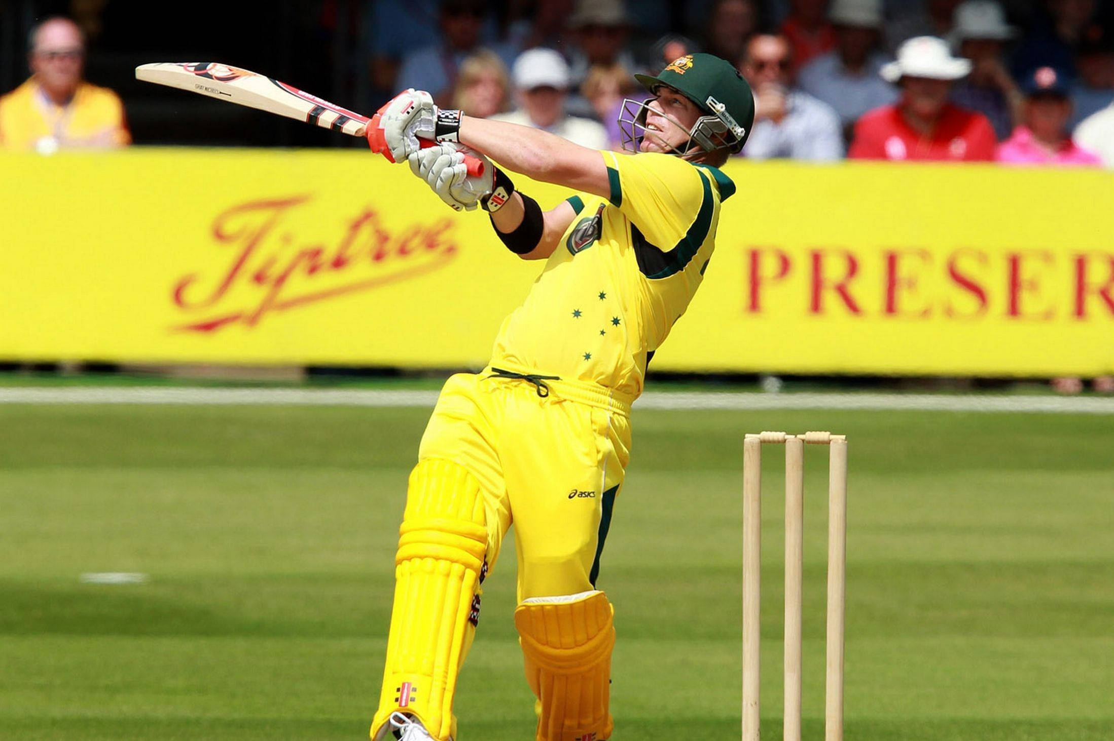 australia cricket 桌布 壁紙 — 一名身穿黃色球衣的板球運動員在陽光明媚的日間比賽中於綠色場地上強力揮棒。