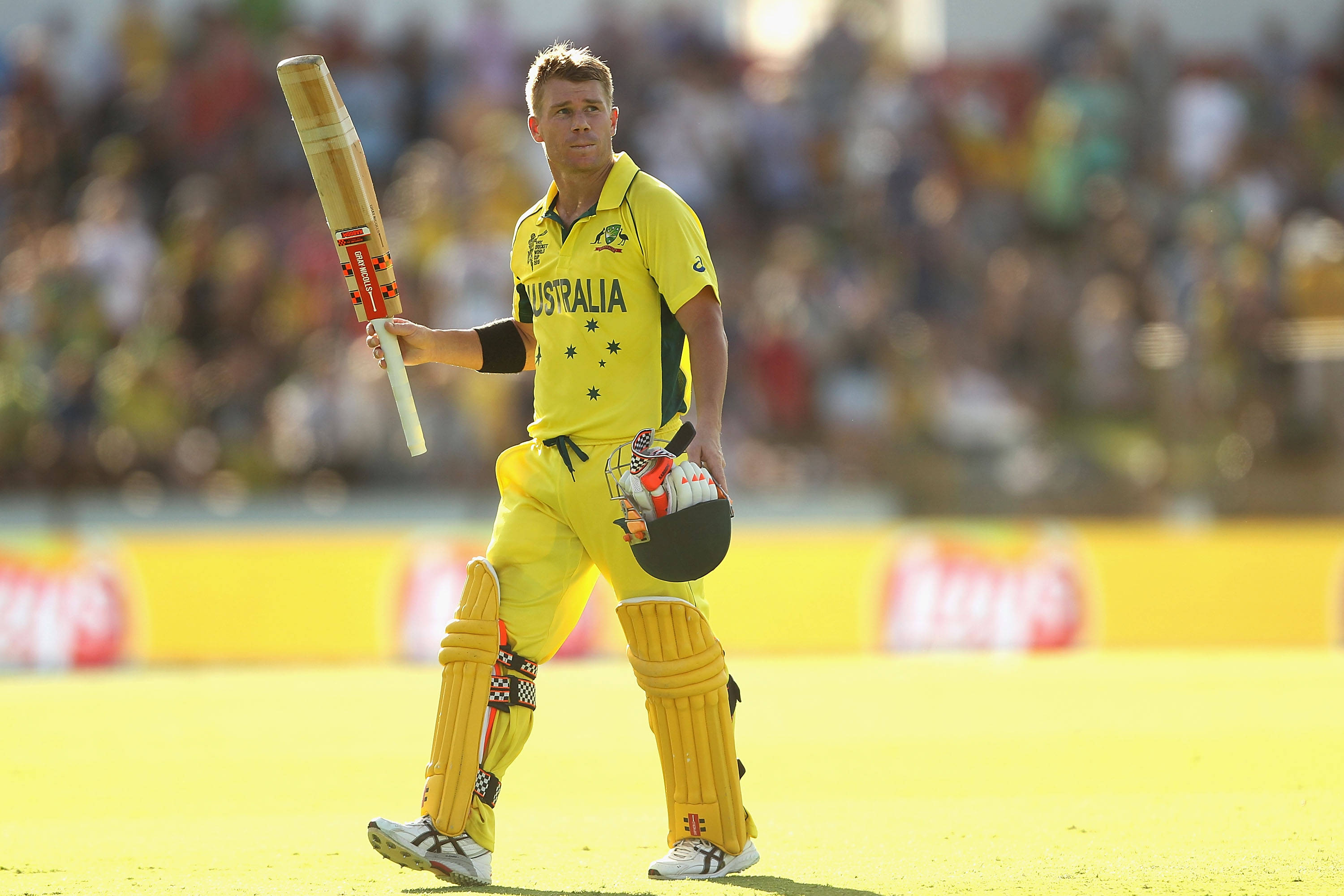 australia cricket 桌布 壁紙 — 一名身穿黃色球衣的澳洲板球運動員，自信地走在陽光普照的球場上，手持球棒和頭盔。