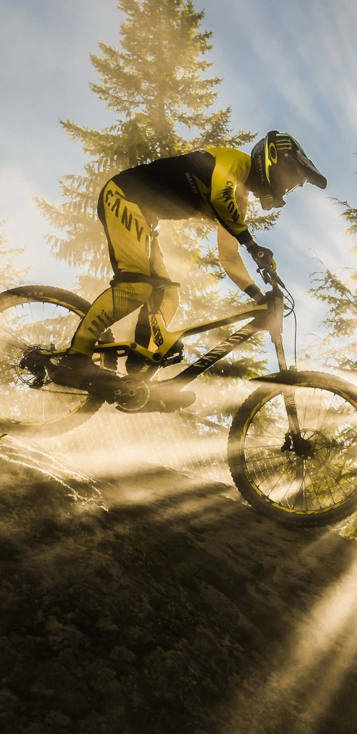 Mountain Bike 桌布 壁紙 — 一名身穿黃色裝備的山地車手在黃金時段於高聳的松樹下飛越塵土飛揚的空氣。