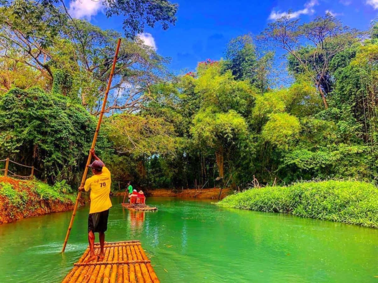 Jamaica 桌布 壁紙 — 一名身穿黃色襯衫的男子站在竹筏上，划過一條翠綠的河流，四周是茂密的叢林，頭頂是明亮的藍天。