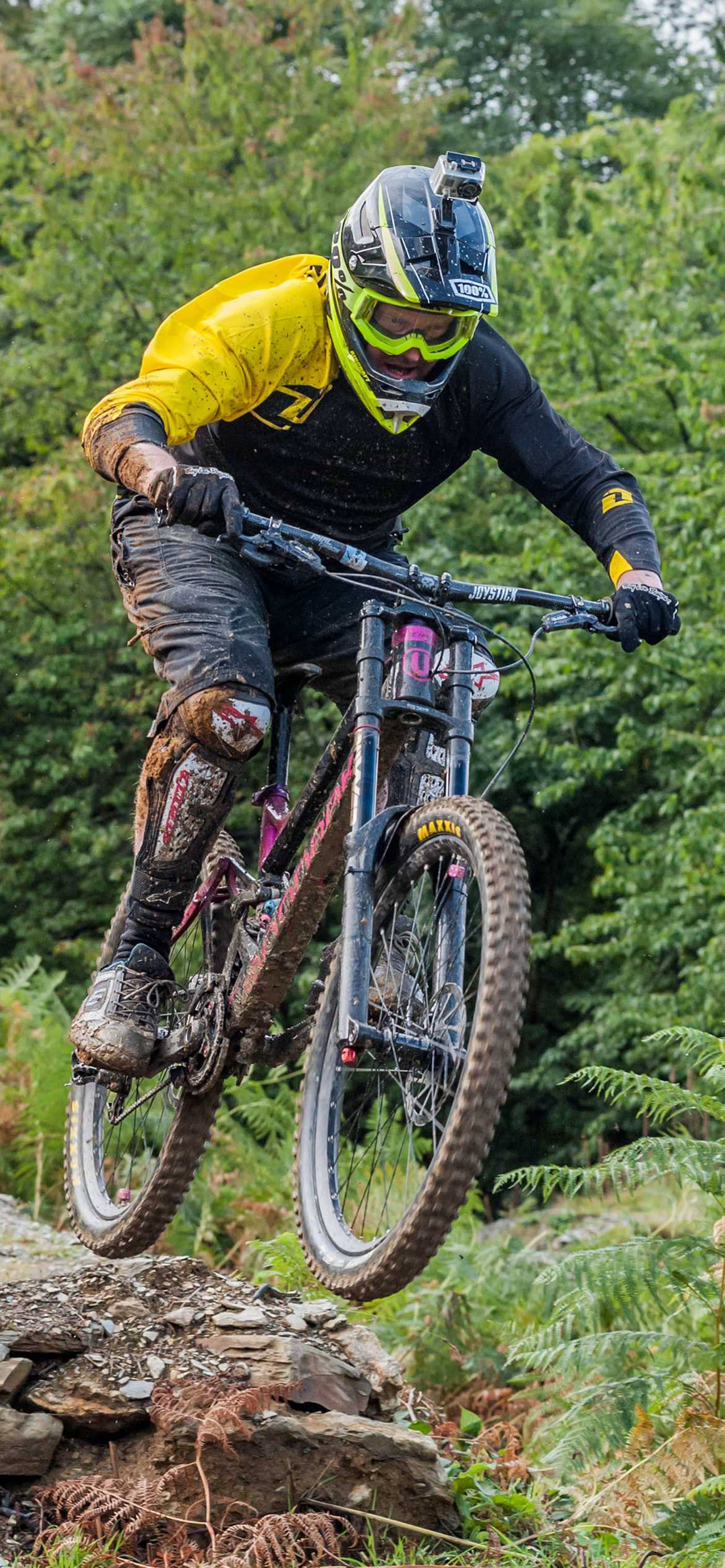 Bike Rider 桌布 壁紙 — 一名身穿黃色車衣和頭盔的山地車手跳過岩石，背景有蕨類植物和樹木。