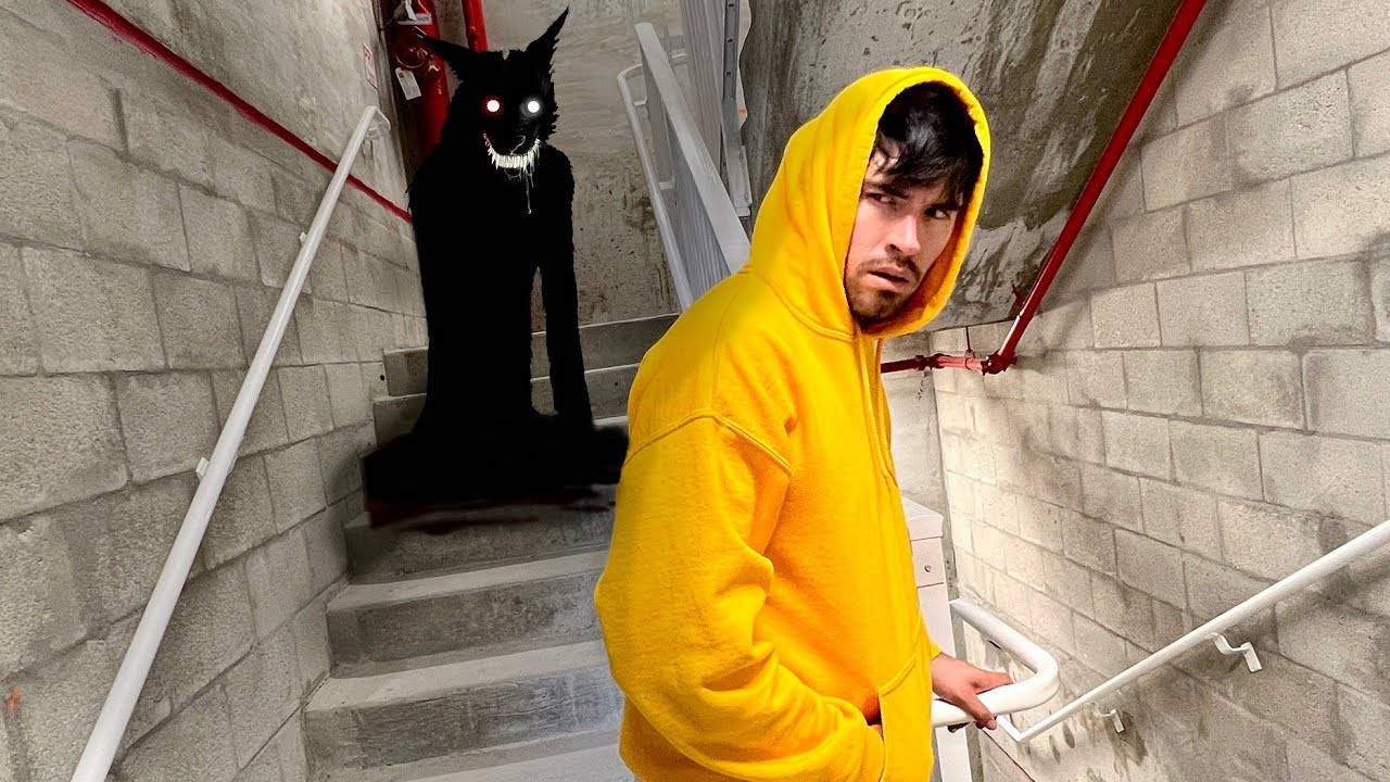 恐怖 桌布 壁紙 — 一名身穿黃色連帽衫的男子走下混凝土樓梯，一隻眼睛發光、牙齒鋒利的黑貓潛伏在他身後。