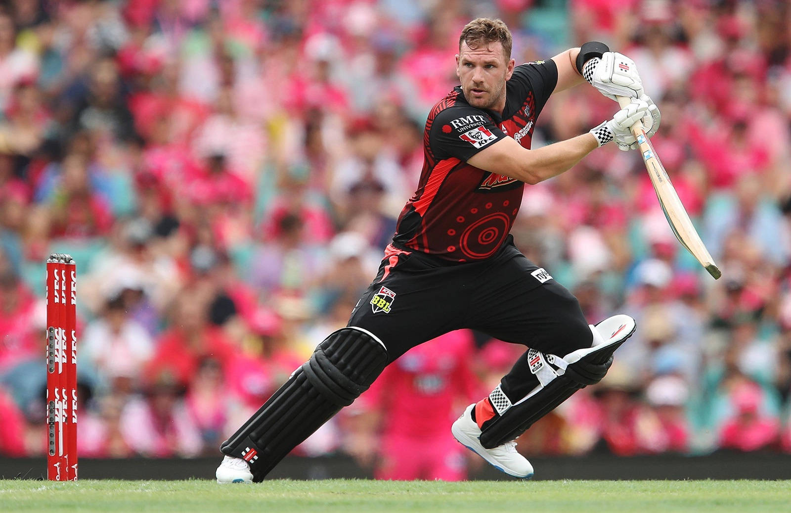Aaron Finch 桌布 壁紙 — 一名身穿黑紅色球衣的板球擊球手在比賽中強力揮棒，背景是模糊的粉紅色人群。