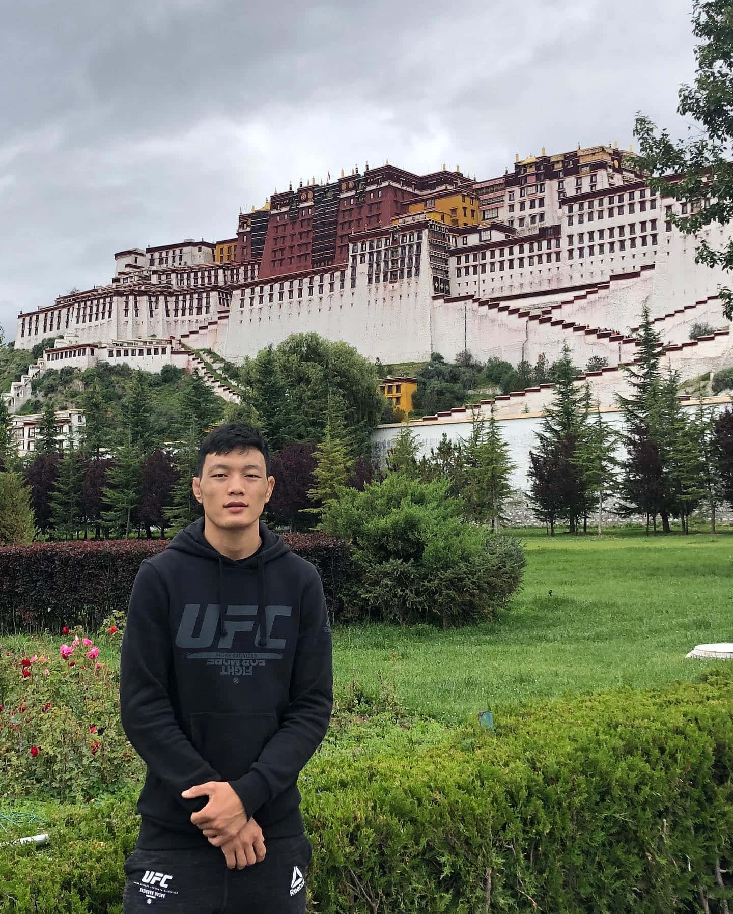 建築 桌布 壁紙 — 一名身穿黑色UFC連帽衫的男子站在茂密的花園中，宏偉的布達拉宮在他身後陰天的天空下聳立。