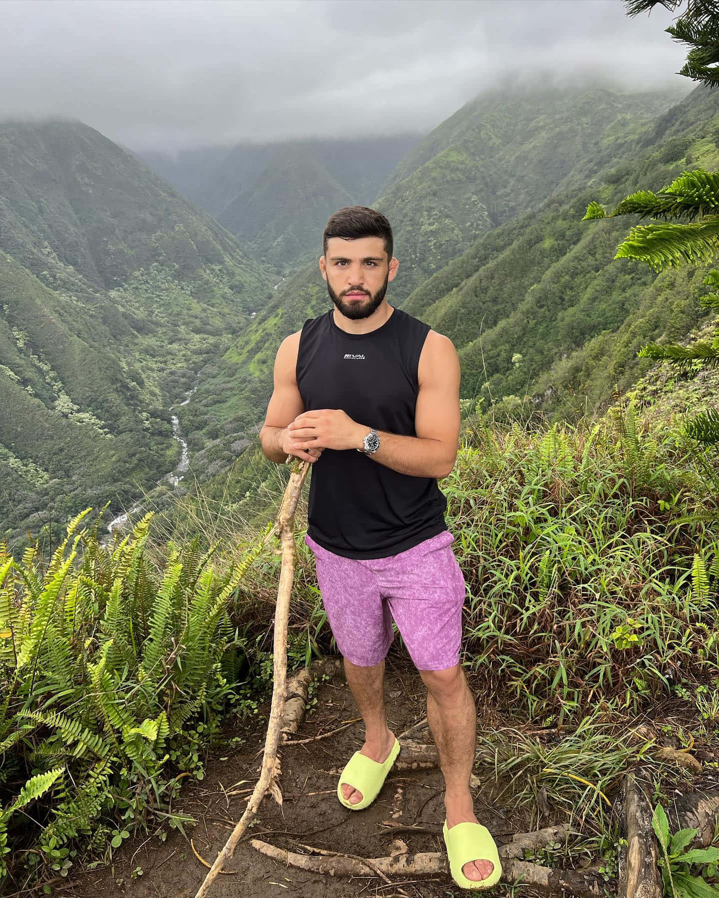 Hiking 桌布 壁紙 — 一名身穿黑色背心和紫色短褲的男子站在霧氣瀰漫的山徑上，手持一根棍子，下方是鬱鬱蔥蔥的綠色山谷。