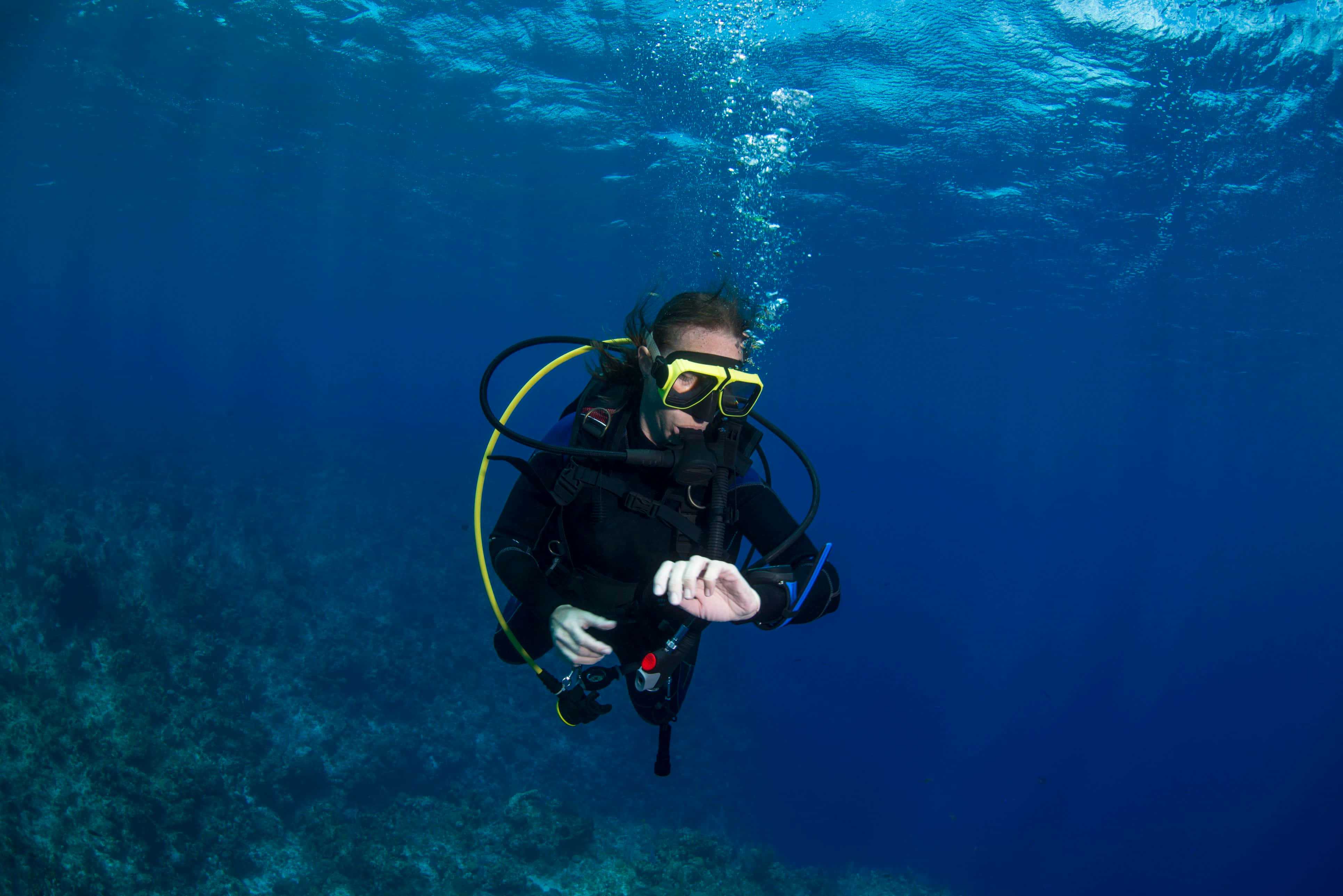 diving 桌布 壁紙 — 一名身穿黑色裝備、戴著黃色面罩的水肺潛水員在清澈的藍色海水中滑過珊瑚礁上方。
