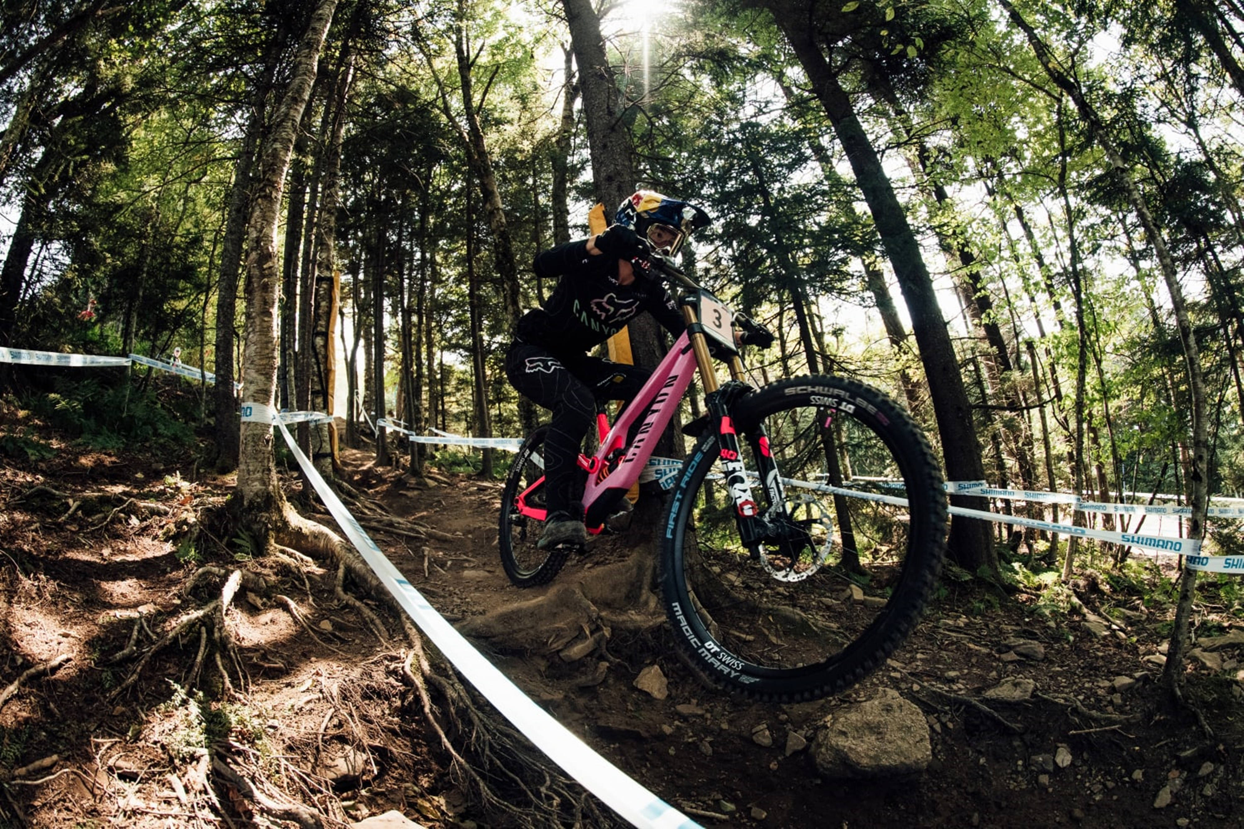 Mountain Bike 桌布 壁紙 — 一名身穿黑色裝備和頭盔的山地車手，騎著粉紅色自行車，穿過一條陽光普照、以白色膠帶標記的森林小徑。