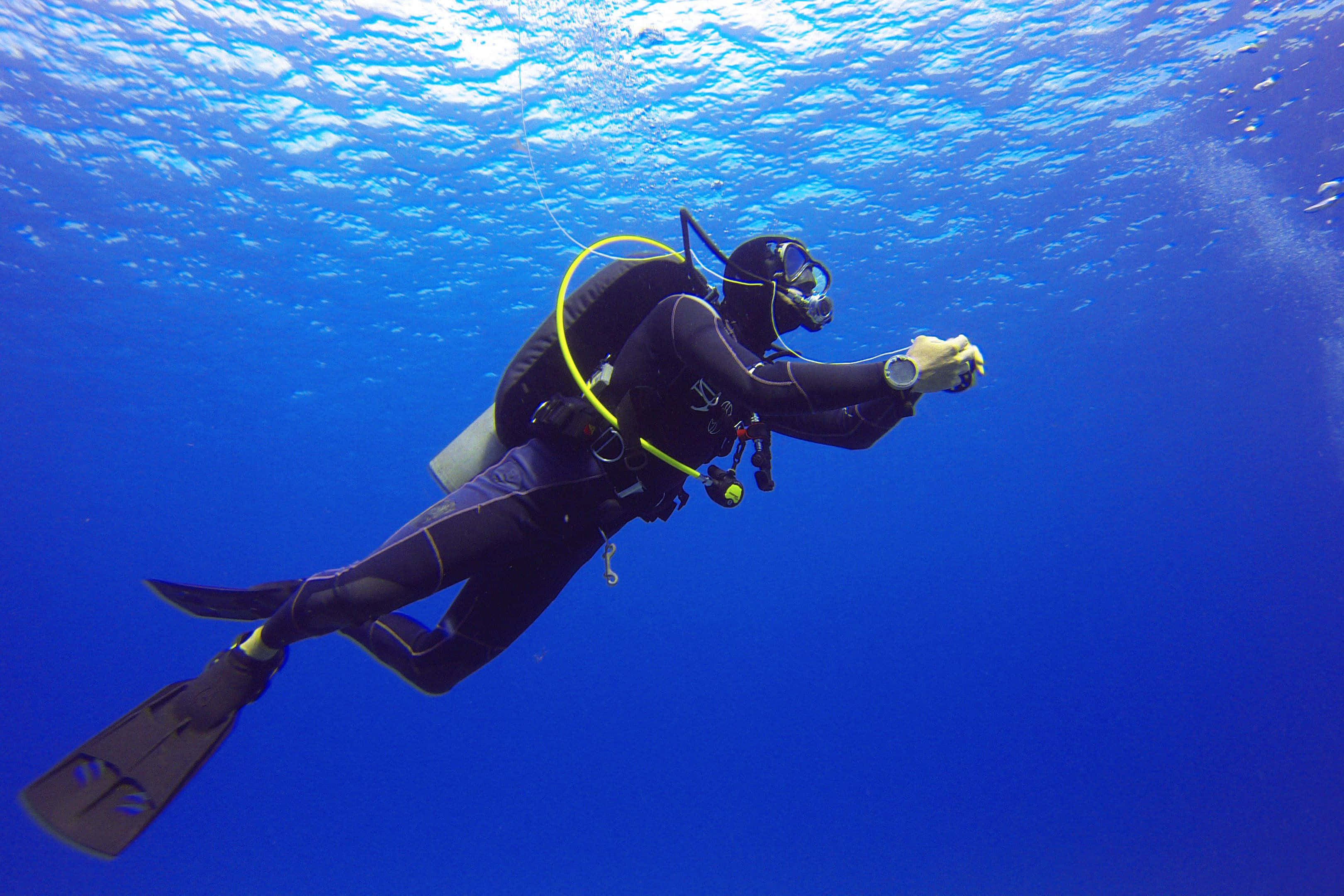 diving 桌布 壁紙 — 一名身穿黑色裝備的水肺潛水員在清澈的藍色海水中滑行，陽光從上方過濾而下。