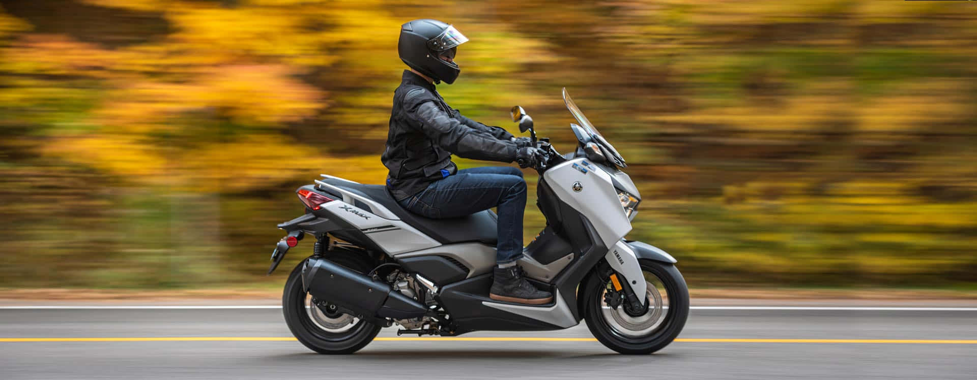 scooter 桌布 壁紙 — 一名身穿黑色裝備的騎士騎著銀色滑板車在充滿活力的秋日森林中飛馳。