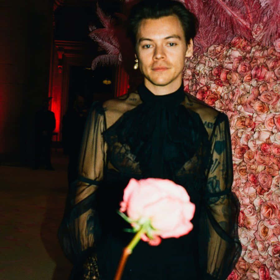 Met Gala 桌布 壁紙 — 一名身穿黑色透視裝的男子，在溫暖的燈光下，手持一朵粉紅玫瑰，靠在一面由紅粉玫瑰組成的牆前。