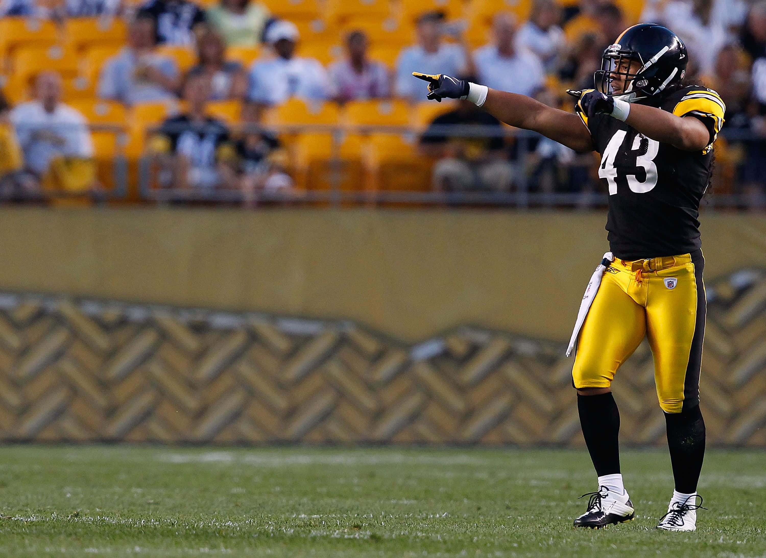 Troy Polamalu 桌布 壁紙 — 一名身穿黑黃色球衣的足球員在綠色球場上向前指，身後是模糊的體育館座位。