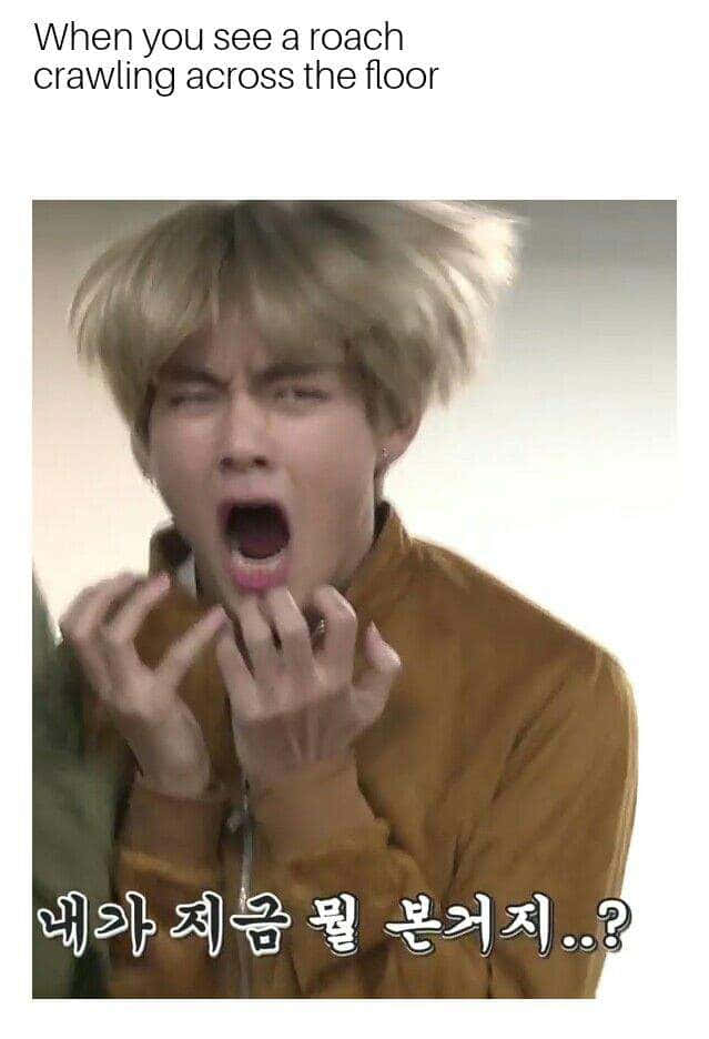 Bts Funny 桌布 壁紙 — 一名金髮人士雙手靠近嘴巴，因看到蟑螂在地板上爬行而驚恐尖叫。