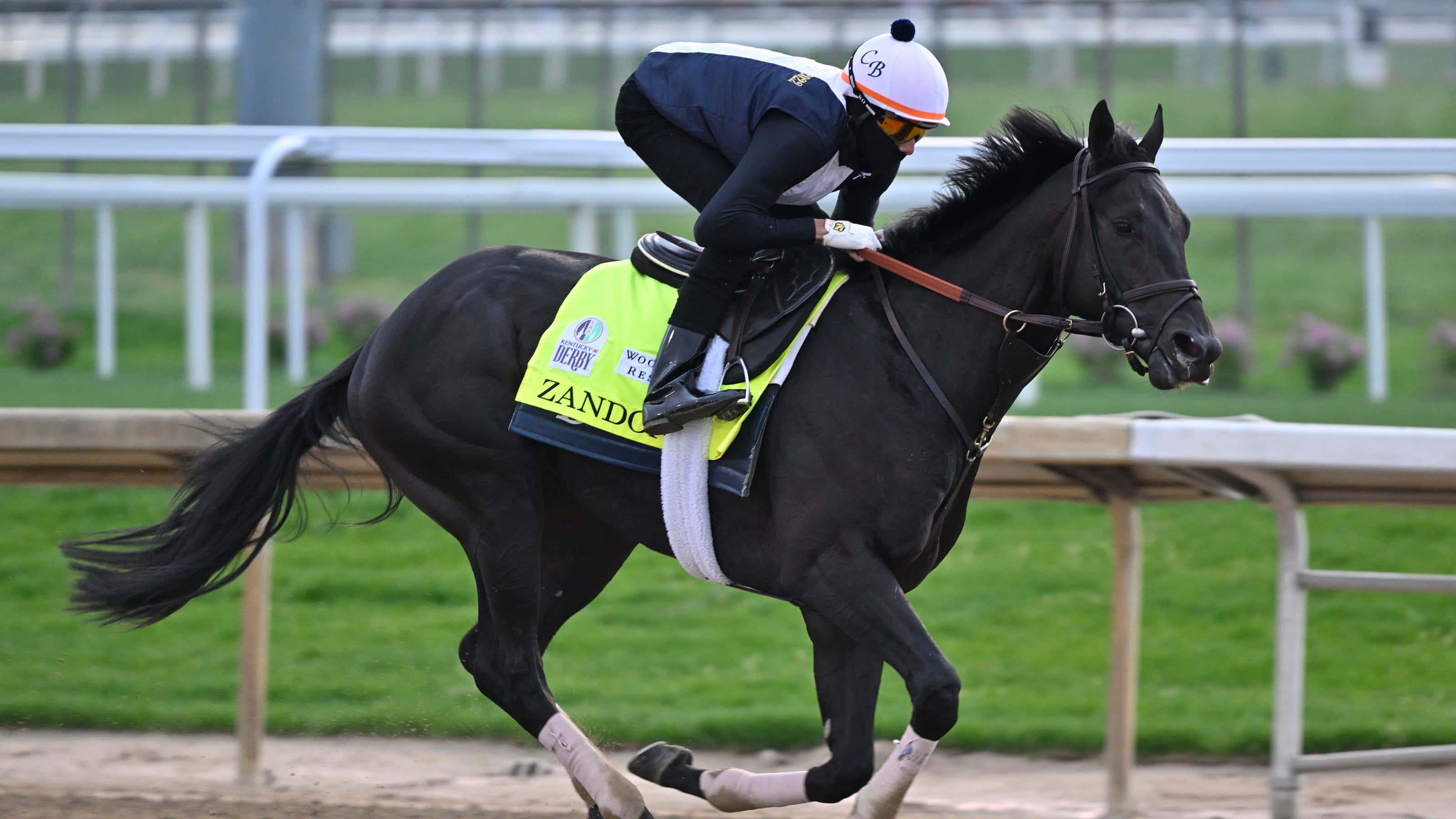 Kentucky Derby 桌布 壁紙 — 一名騎師戴著白色頭盔、身穿海軍藍裝備，騎著一匹名叫Zando的黑色賽馬，在泥地賽道上全速奔馳時身體前傾。