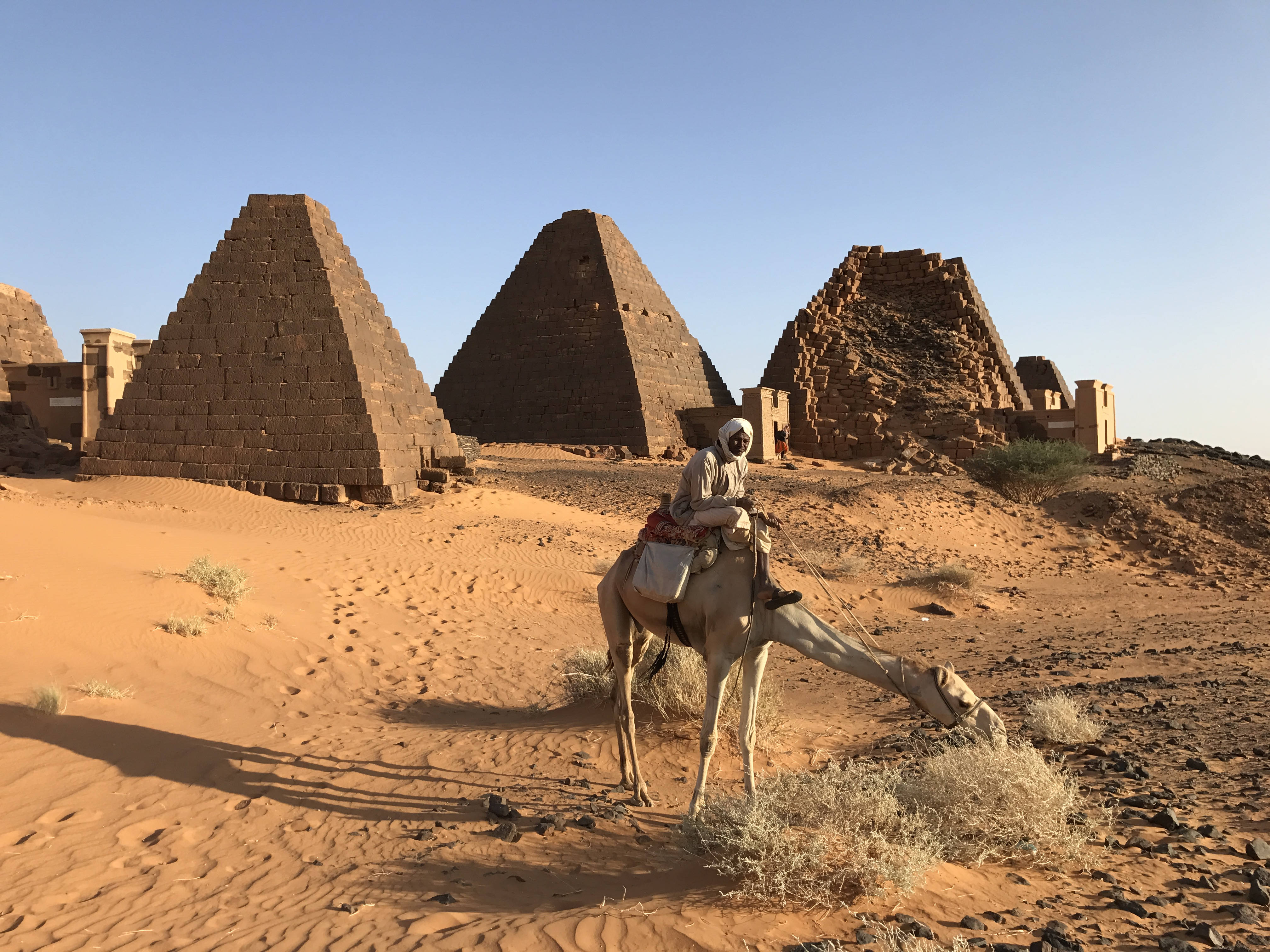 Sudan 桌布 壁紙 — 一名騎手騎著駱駝，在晴朗藍天下陽光明媚的沙漠中，靠近古老金字塔吃草。