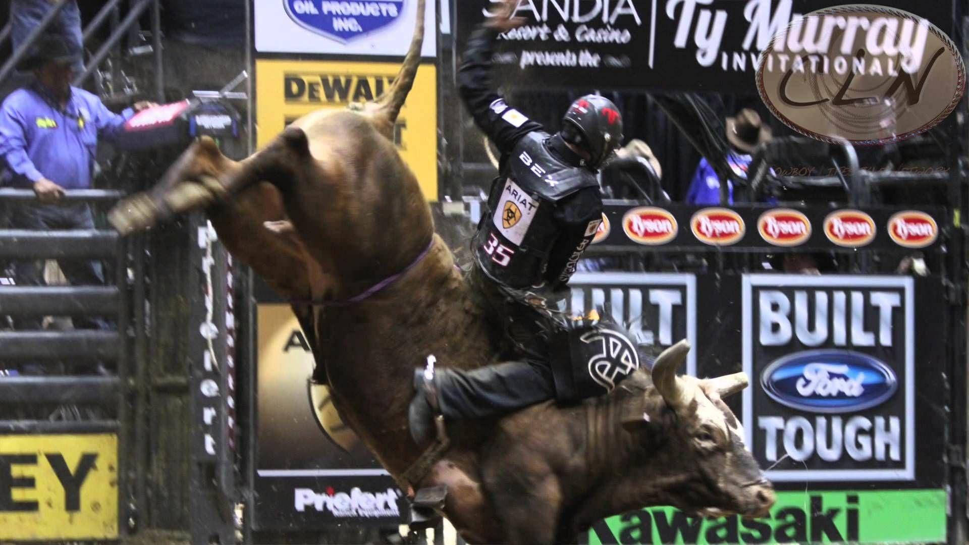Bull Riding 桌布 壁紙 — 一名騎牛士在明亮的燈光下，於有贊助商橫幅可見的牛仔競技場中，緊緊抓住一頭猛烈甩動的公牛。