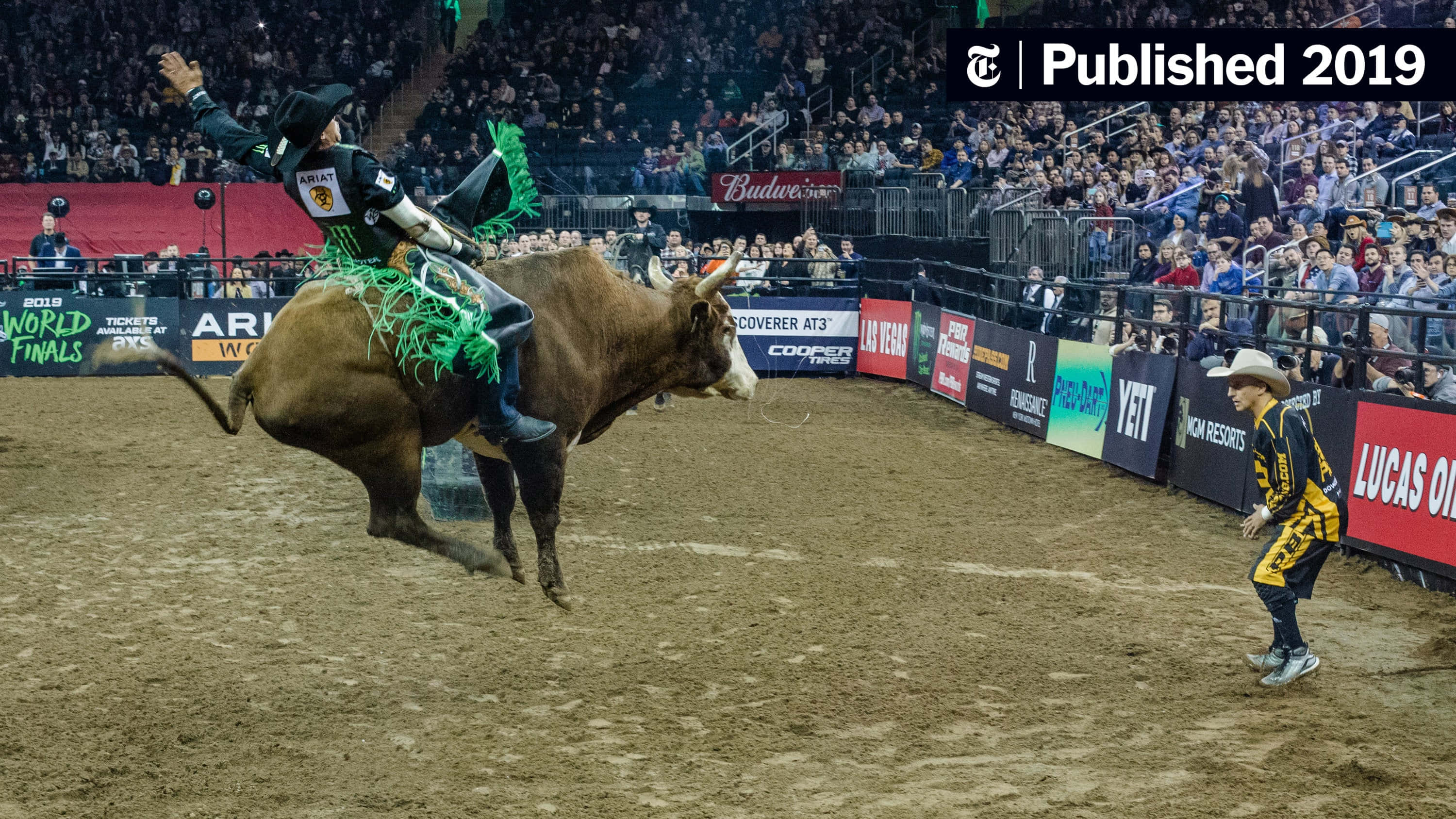 Bull Riding 桌布 壁紙 — 一名騎牛士在牛仔準備介入的牛仔競技場中緊貼著一頭跳躍的公牛。