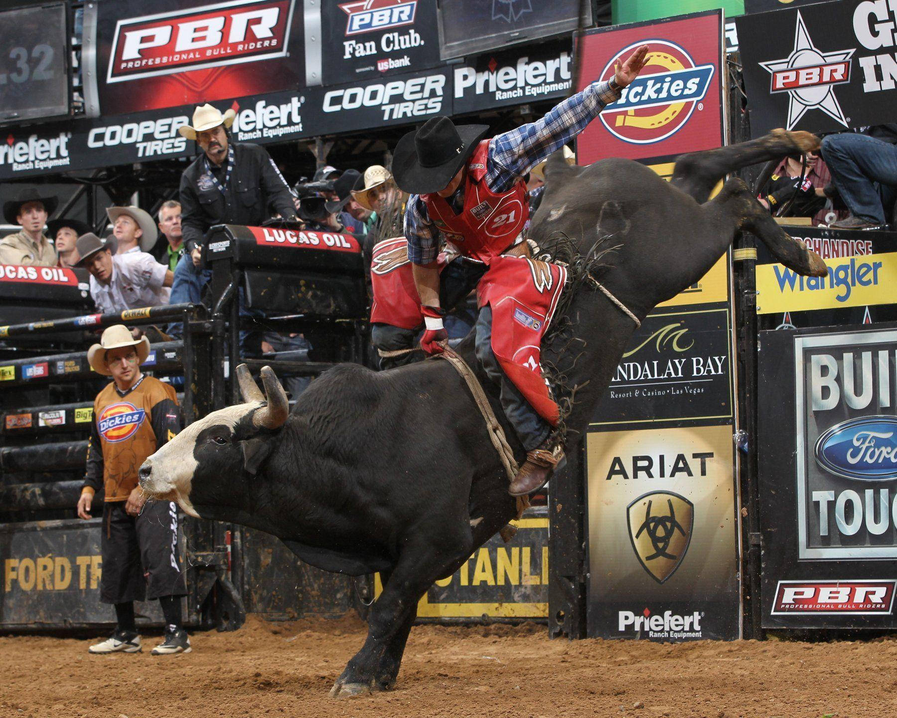 Bull Riding 桌布 壁紙 — 一名騎牛士在牛仔競技場中緊緊抓住一頭正在弓背跳起的黑牛，觀眾從看台上觀看。