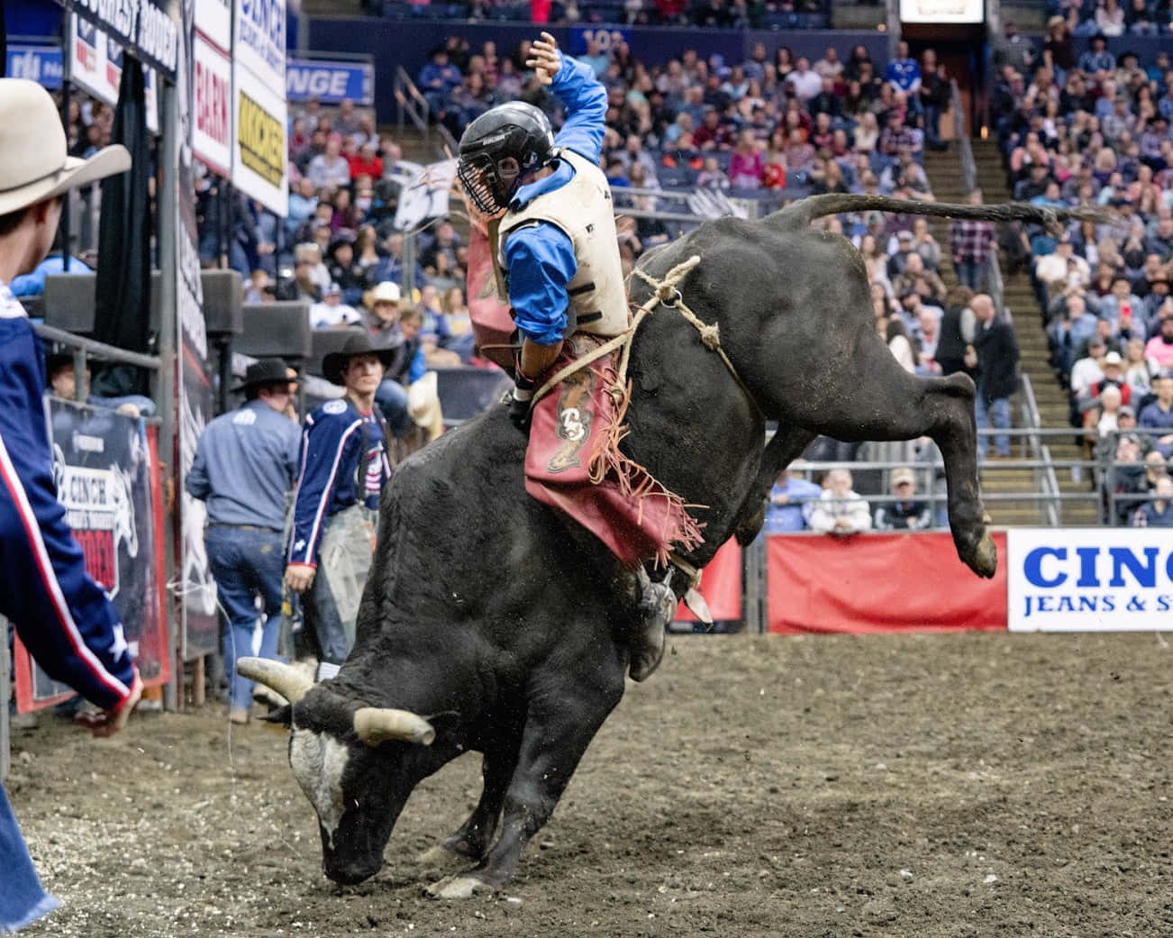 Bull Riding 桌布 壁紙 — 一名騎牛士在牛仔競技場中緊緊抓住一頭正在猛跳的黑牛，觀眾從看台上觀看。