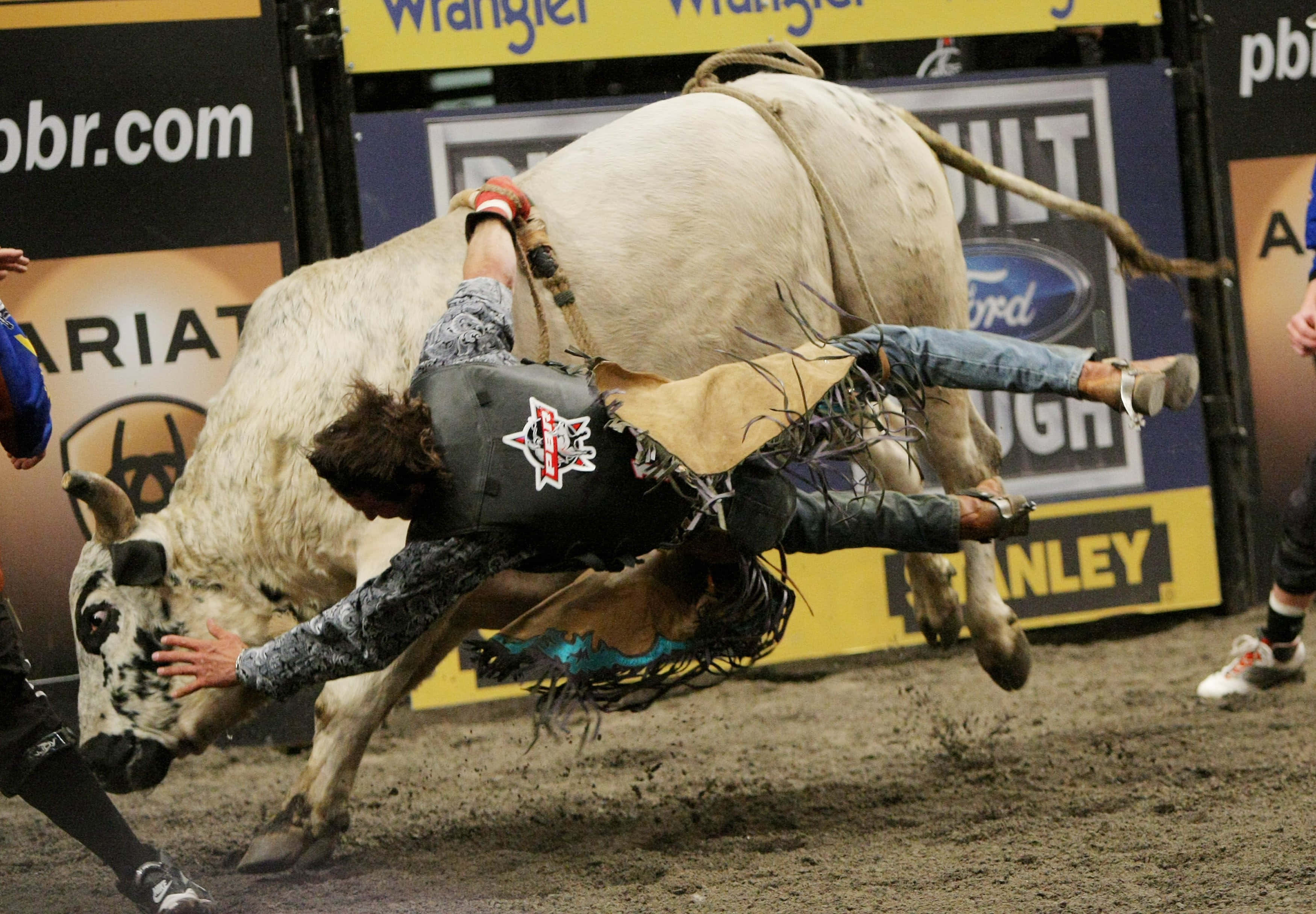 Bull Rider 桌布 壁紙 — 一名騎牛士在牛仔競技場中被一頭白色暴跳的公牛甩出，泥土飛揚，贊助商橫幅清晰可見。