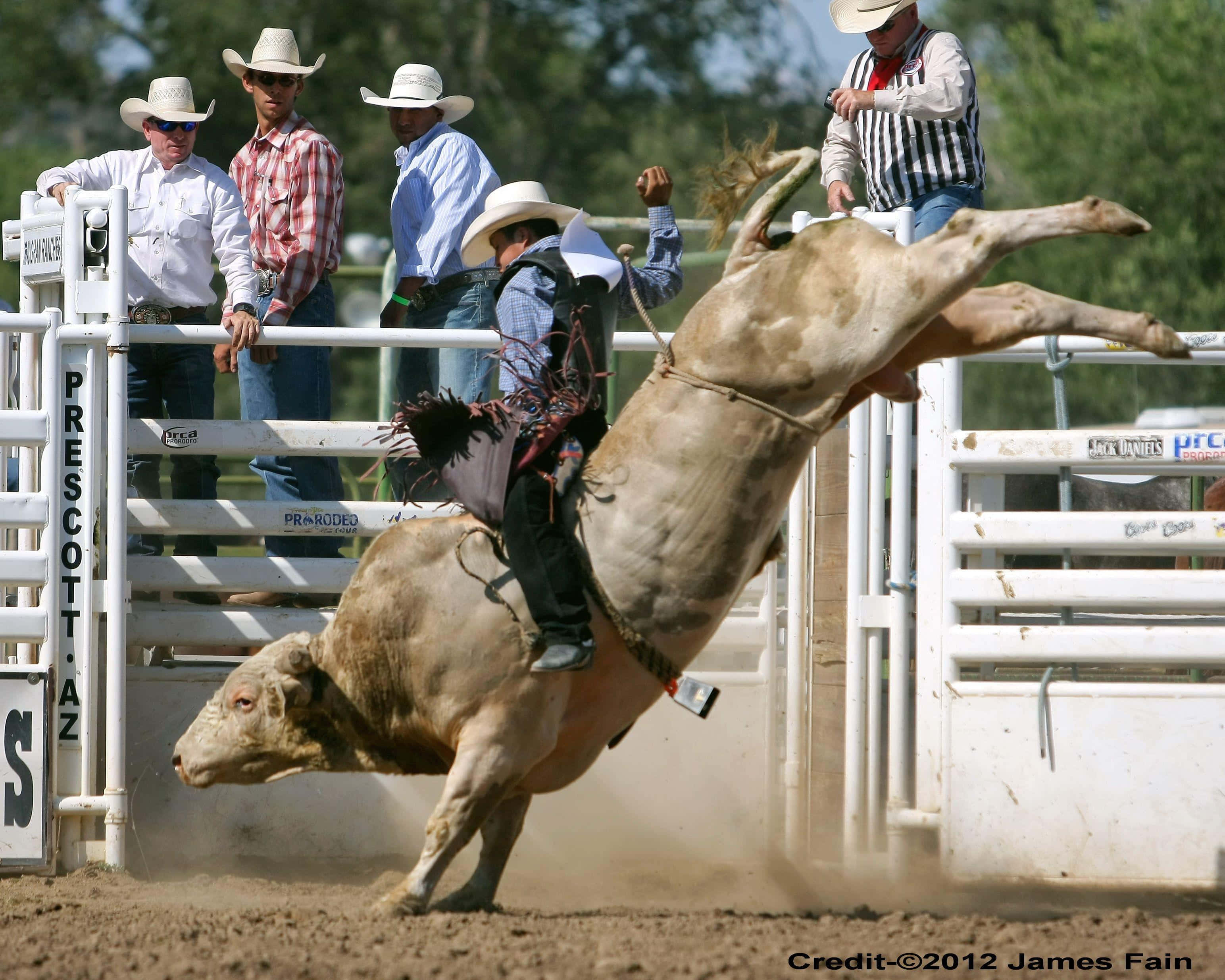 Bull Rider 桌布 壁紙 — 一名騎牛士緊抓著一頭在牛仔競技場中高高躍起的狂暴公牛，觀眾在旁觀看。