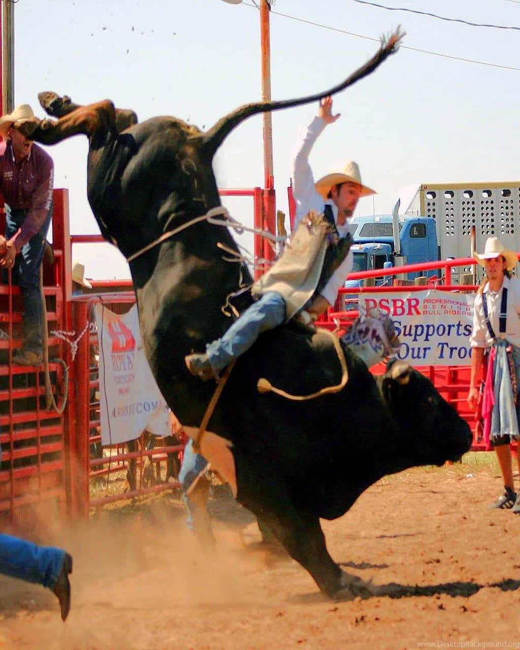 Bull Rider 桌布 壁紙 — 一名騎牛士緊抓著一頭正在紅色牛仔競技圍欄內躍起、踢起塵土的黑色公牛。