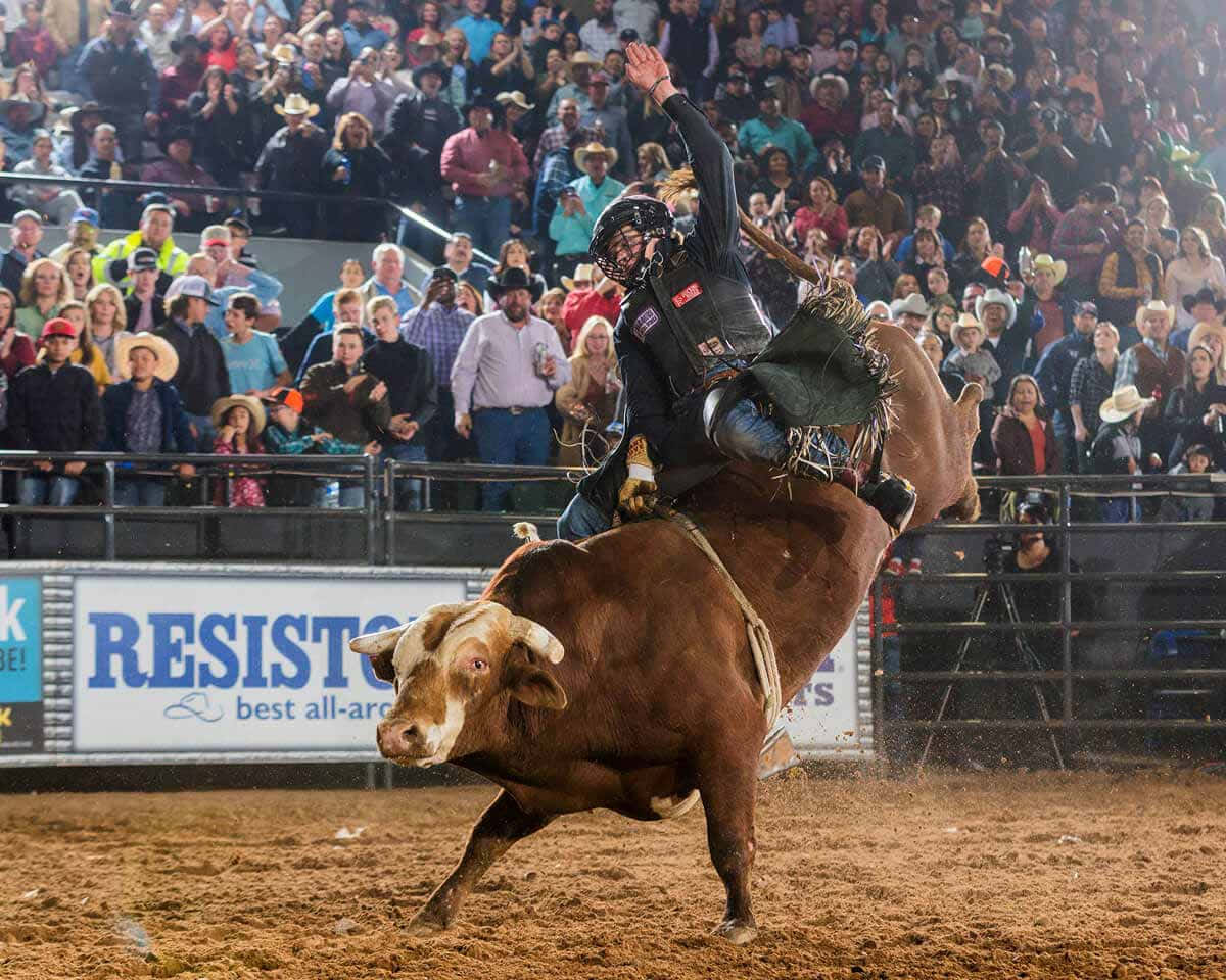 Bull Riding 桌布 壁紙 — 一名騎牛士緊抓著一頭跳躍的棕色公牛，在擠滿歡呼觀眾的牛仔競技場中，在明亮的燈光下。